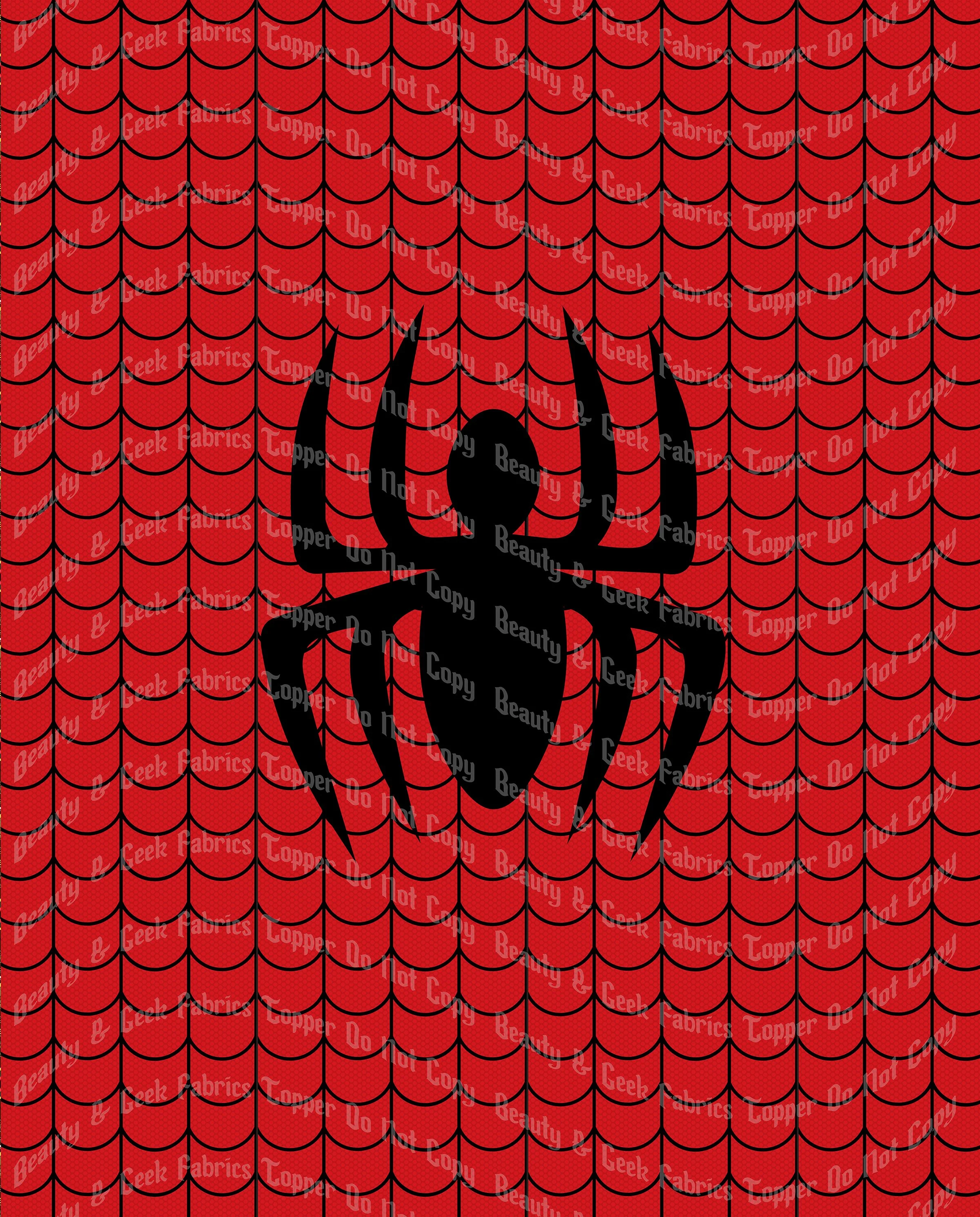 Spidy Logo Topper .jpg