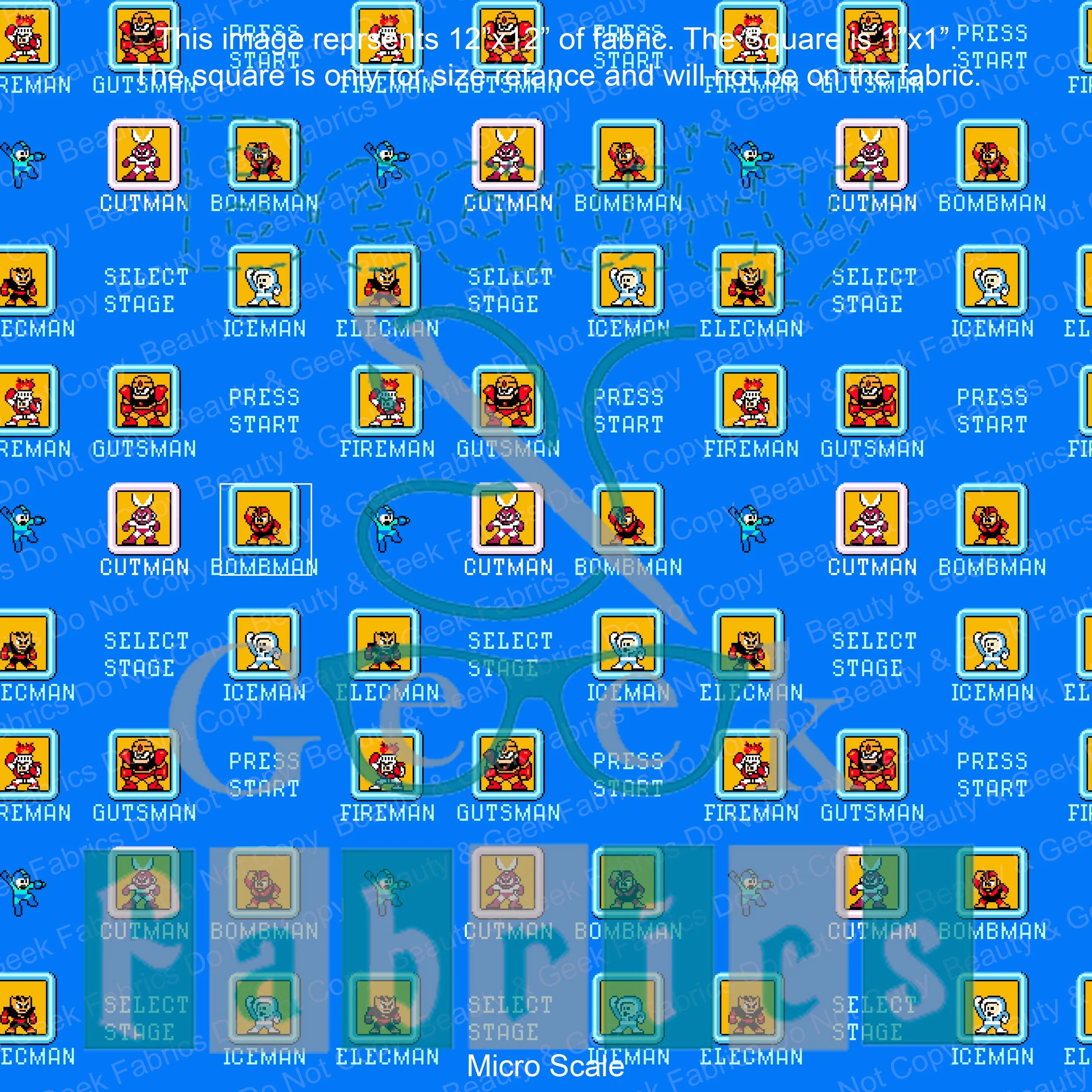 Megaman Micro WEB.jpg