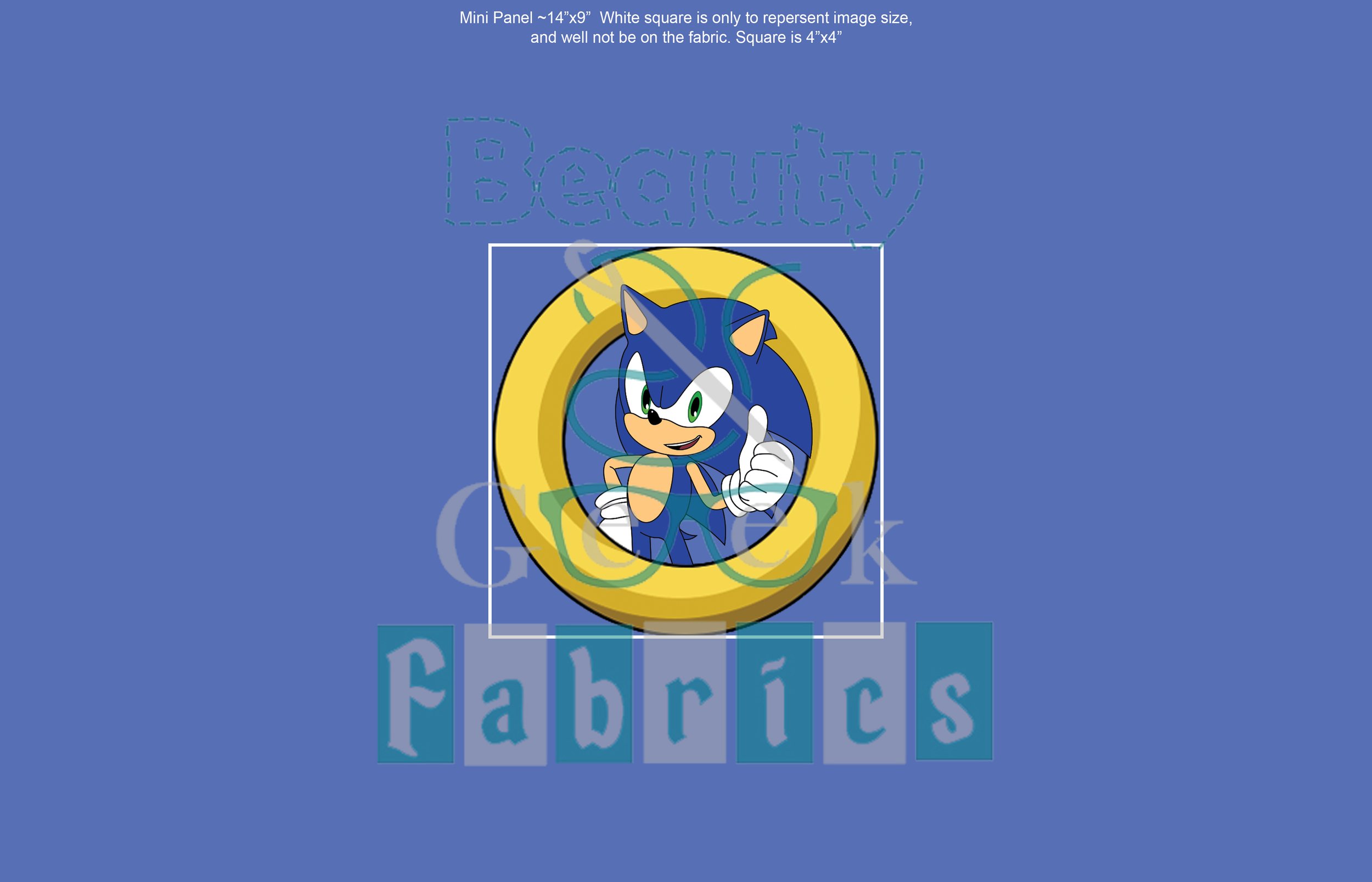 Panel Mini Sonic.jpg