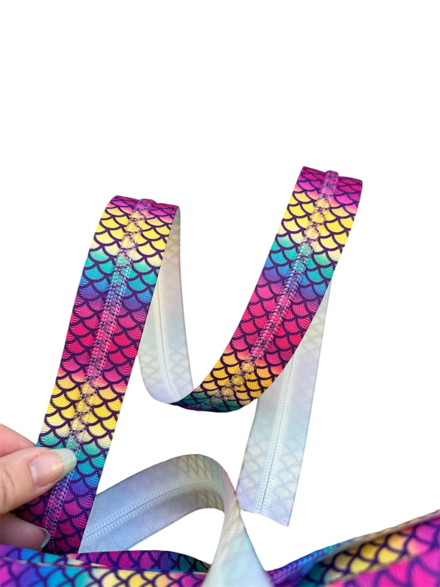 Rainbow Scales 1.jpg