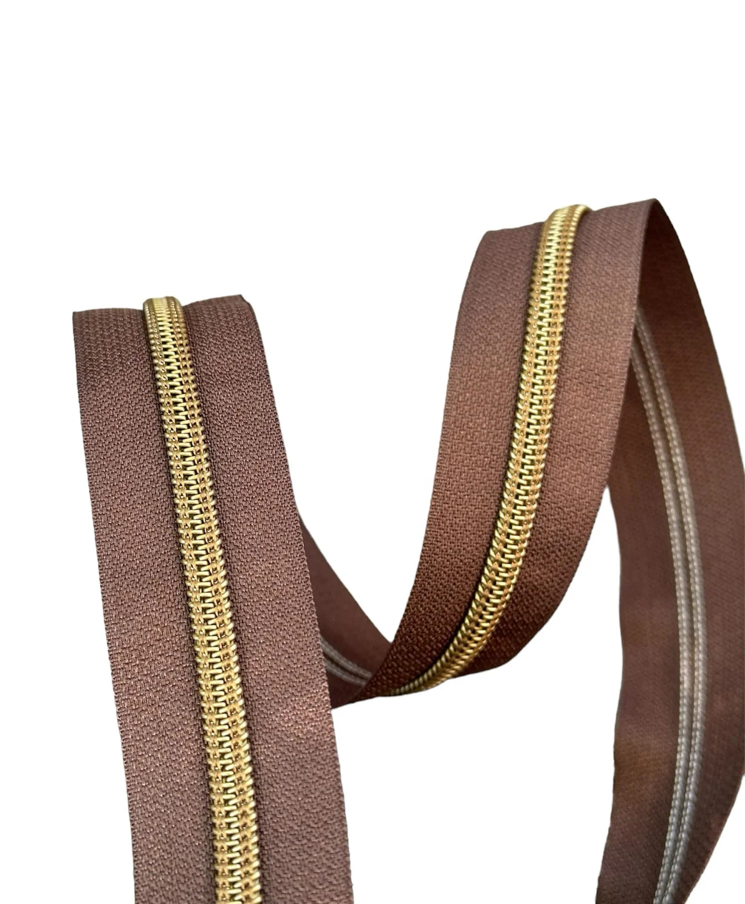 Brown - Brase 2.jpg