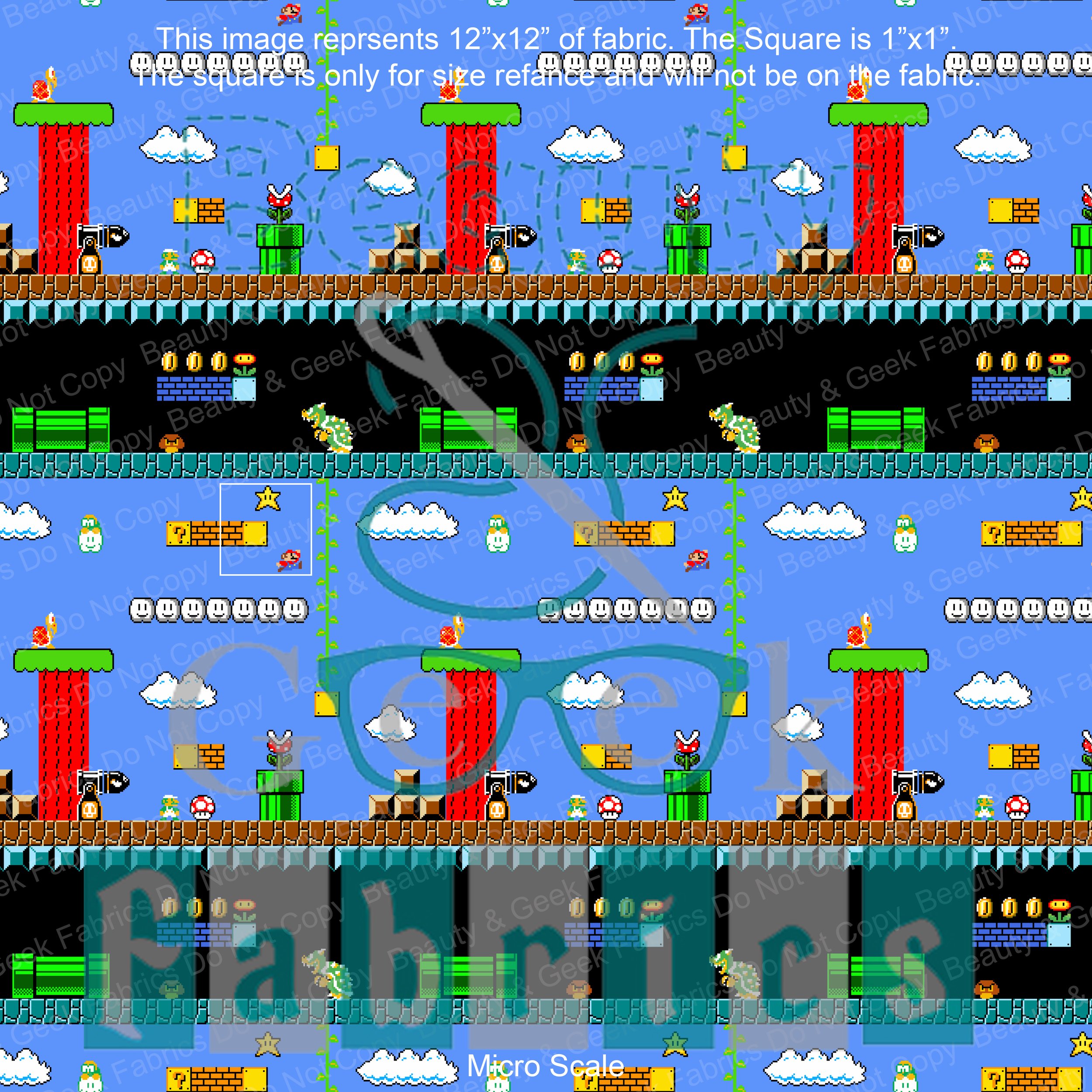 Mario WEB Micro.jpg