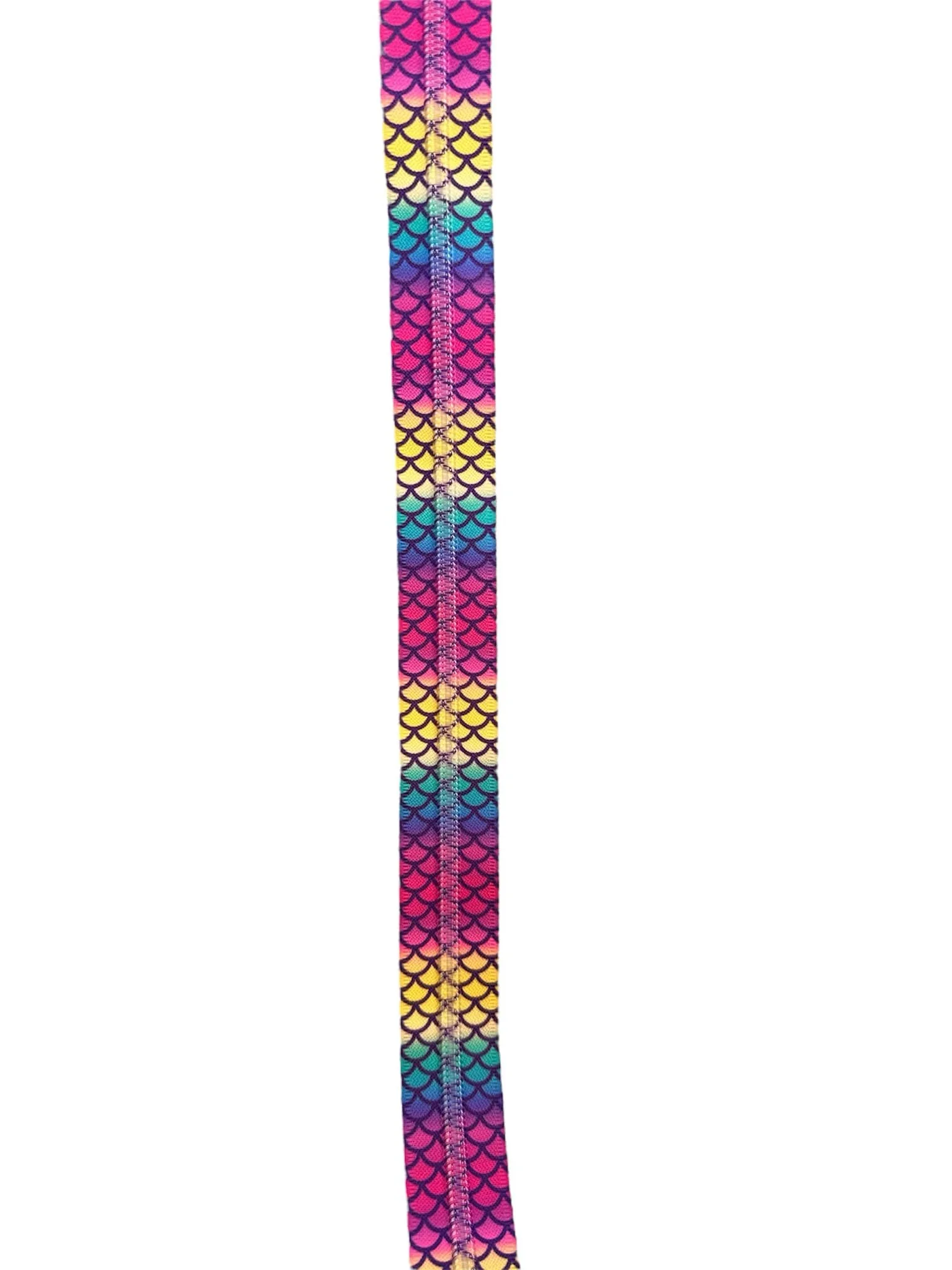 Rainbow Scales 2.jpg