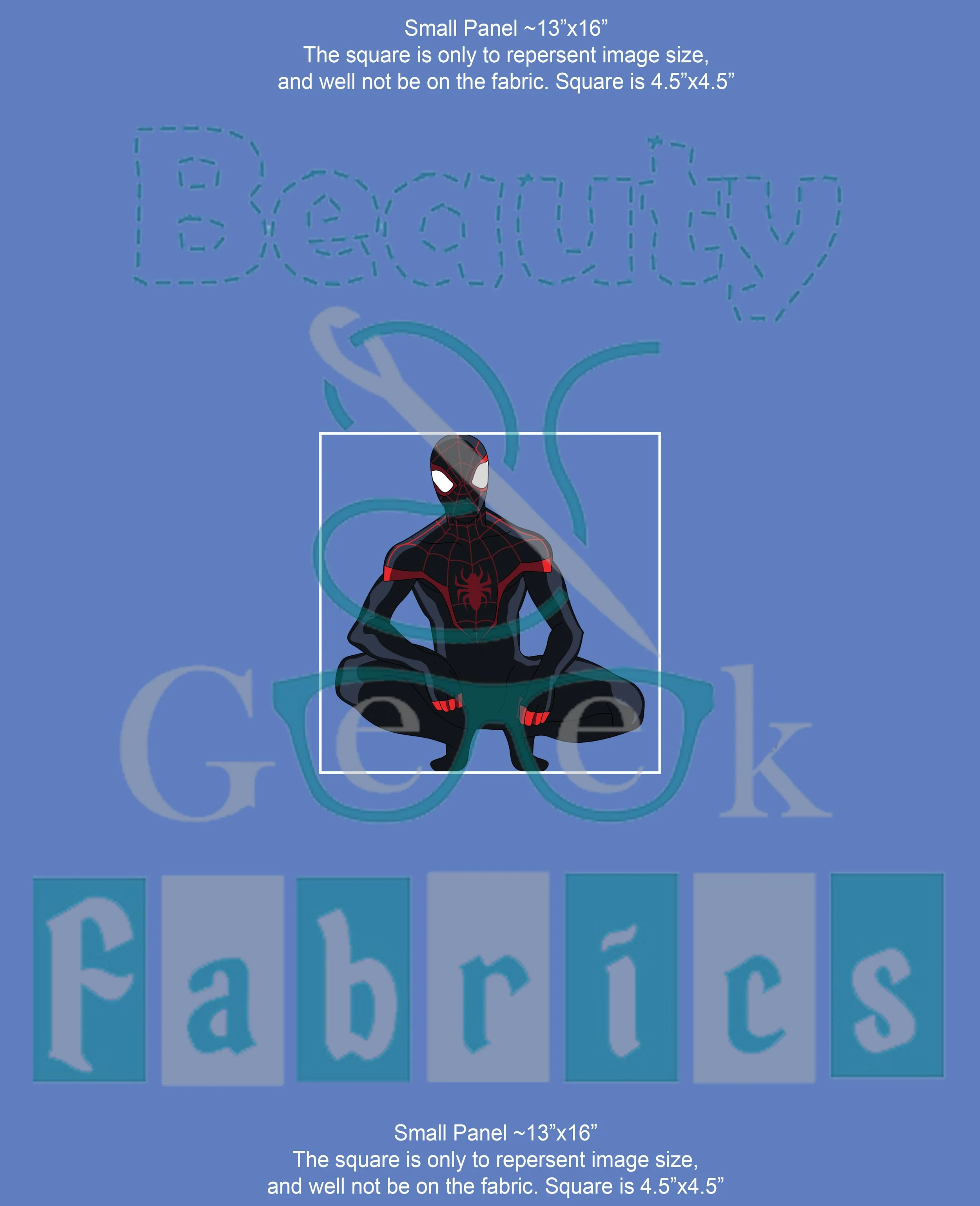 Black Spider Panel Small.jpg