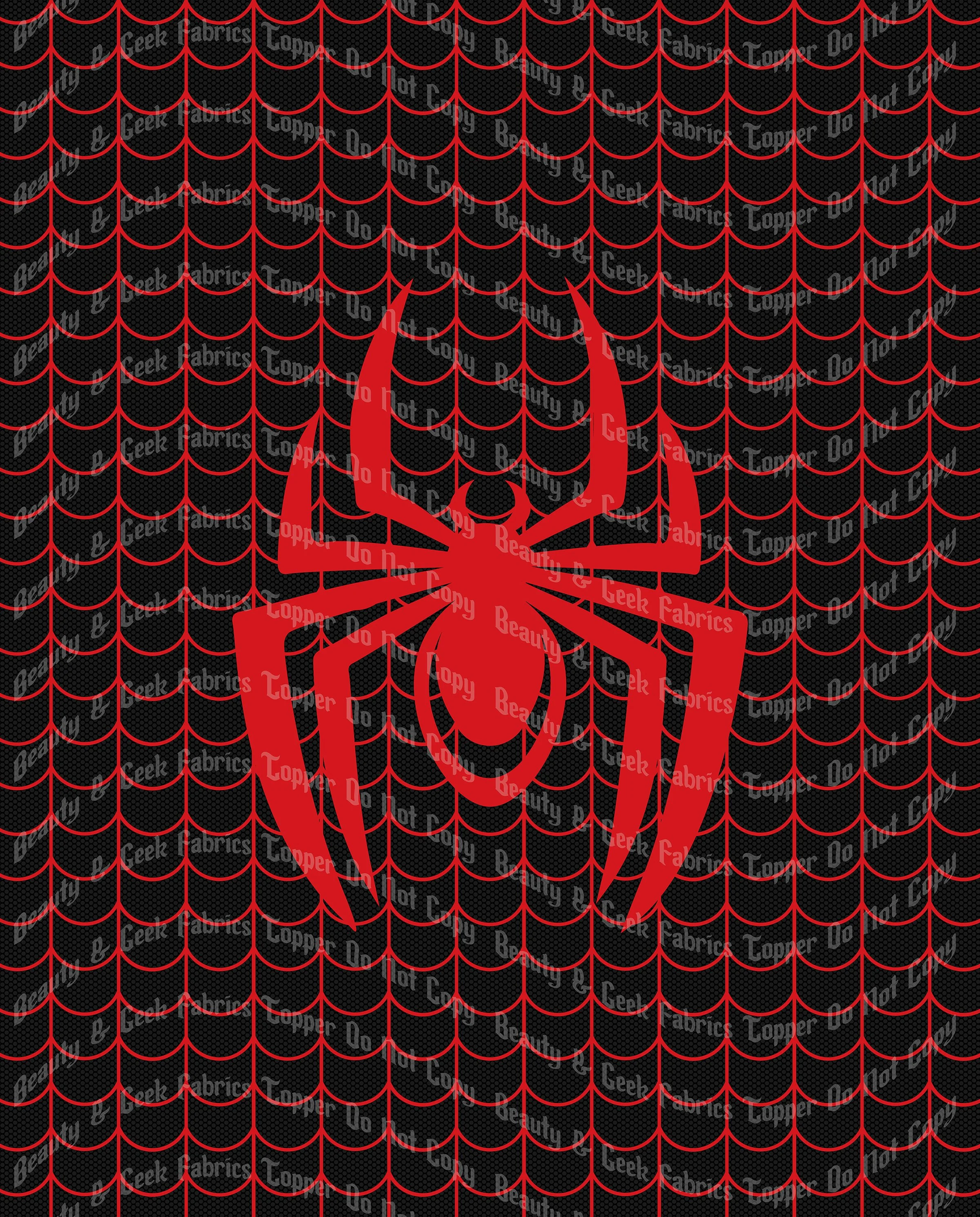 Spin Logo Topper .jpg