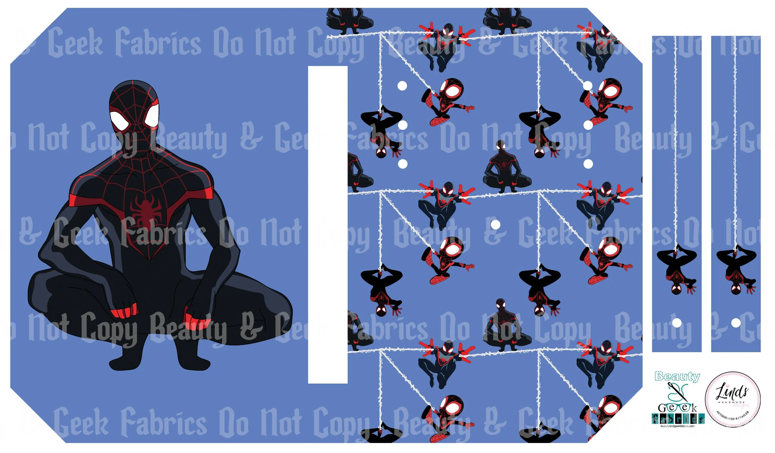 Black Spider Pocket Pals.jpg