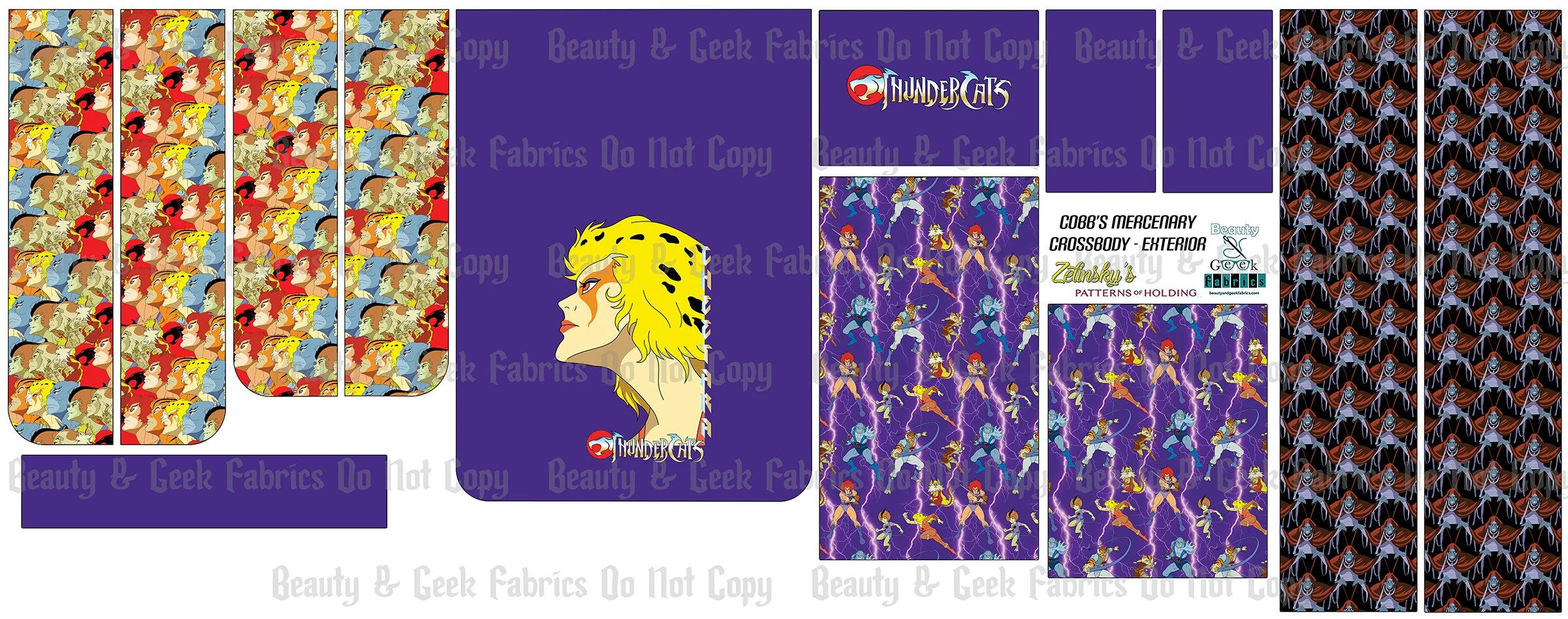 TCats Cheetara - Cobbs Exterior .jpg