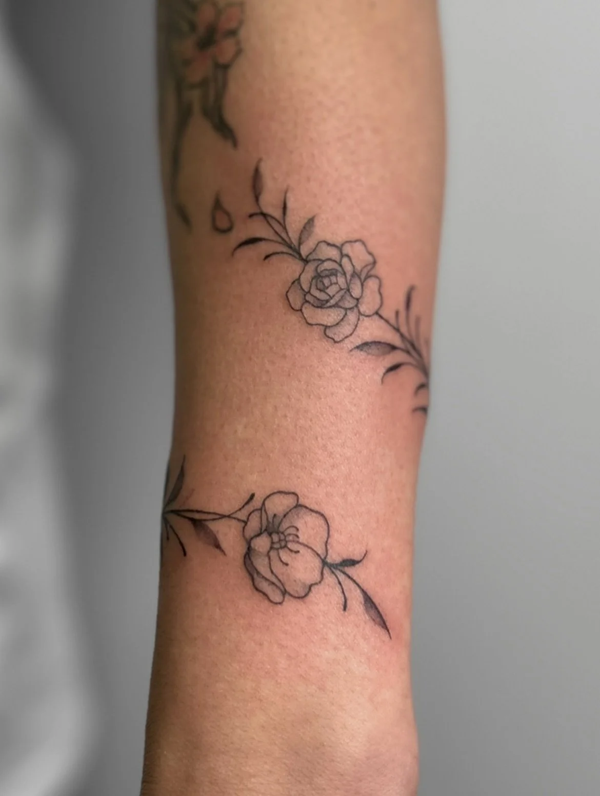 BIRTH FLOWER VINE

a poppy, carnation &amp; rose.

thanks for coming in rey!