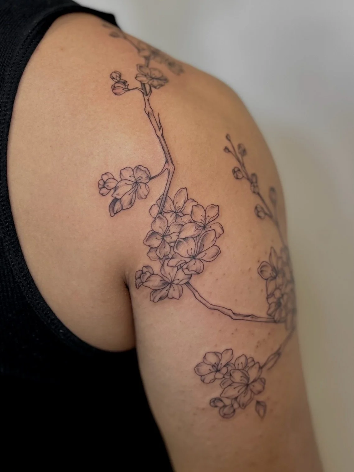 cherry blossom branch.

drawn to his specific anatomy,
to wrap around the bicep &amp; up onto the trap! 

thanks for the trust with this jared!