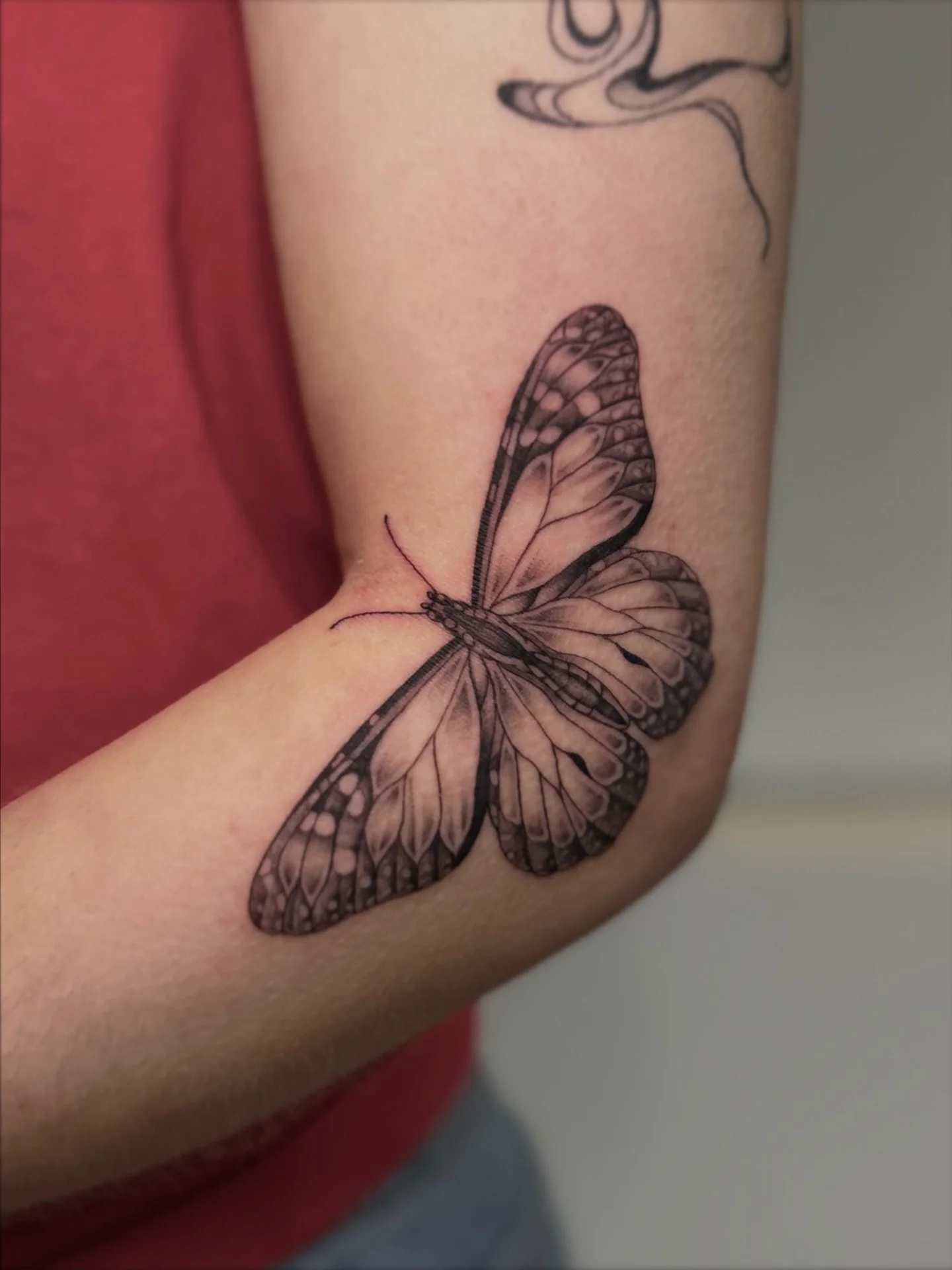 M O N A R C H 

this such a sick placement for a butterfly tattoo. 

thanks for coming in again asza!
