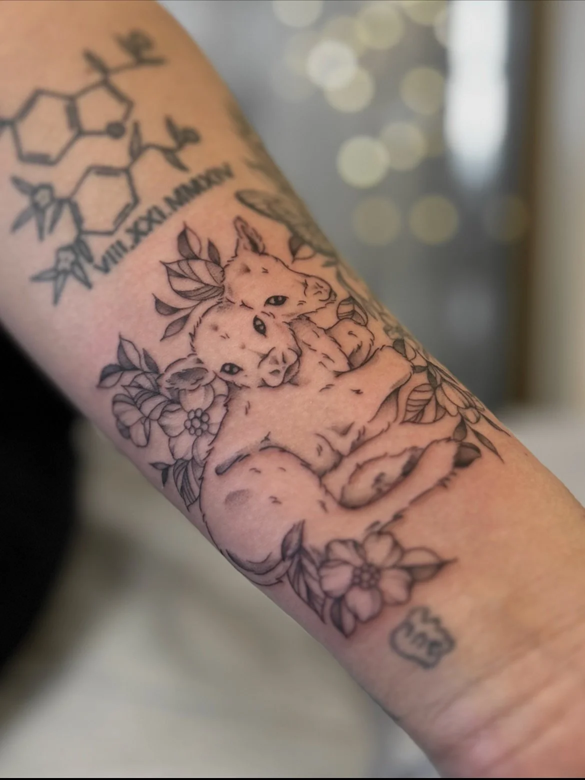 TWO HEADED CALF

inspired by Laura Gilpin&rsquo;s poem. 

thanks for coming in again desiree!