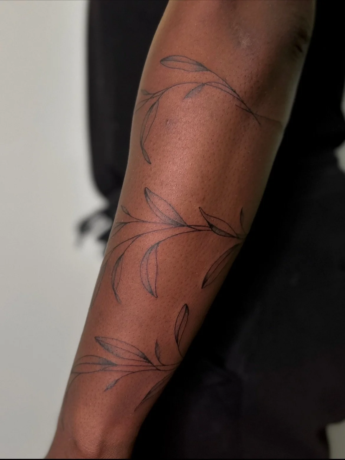 O L I V E  L E A V E S 

a wrapping vine olive leaves.

thanks for coming in for this victor!