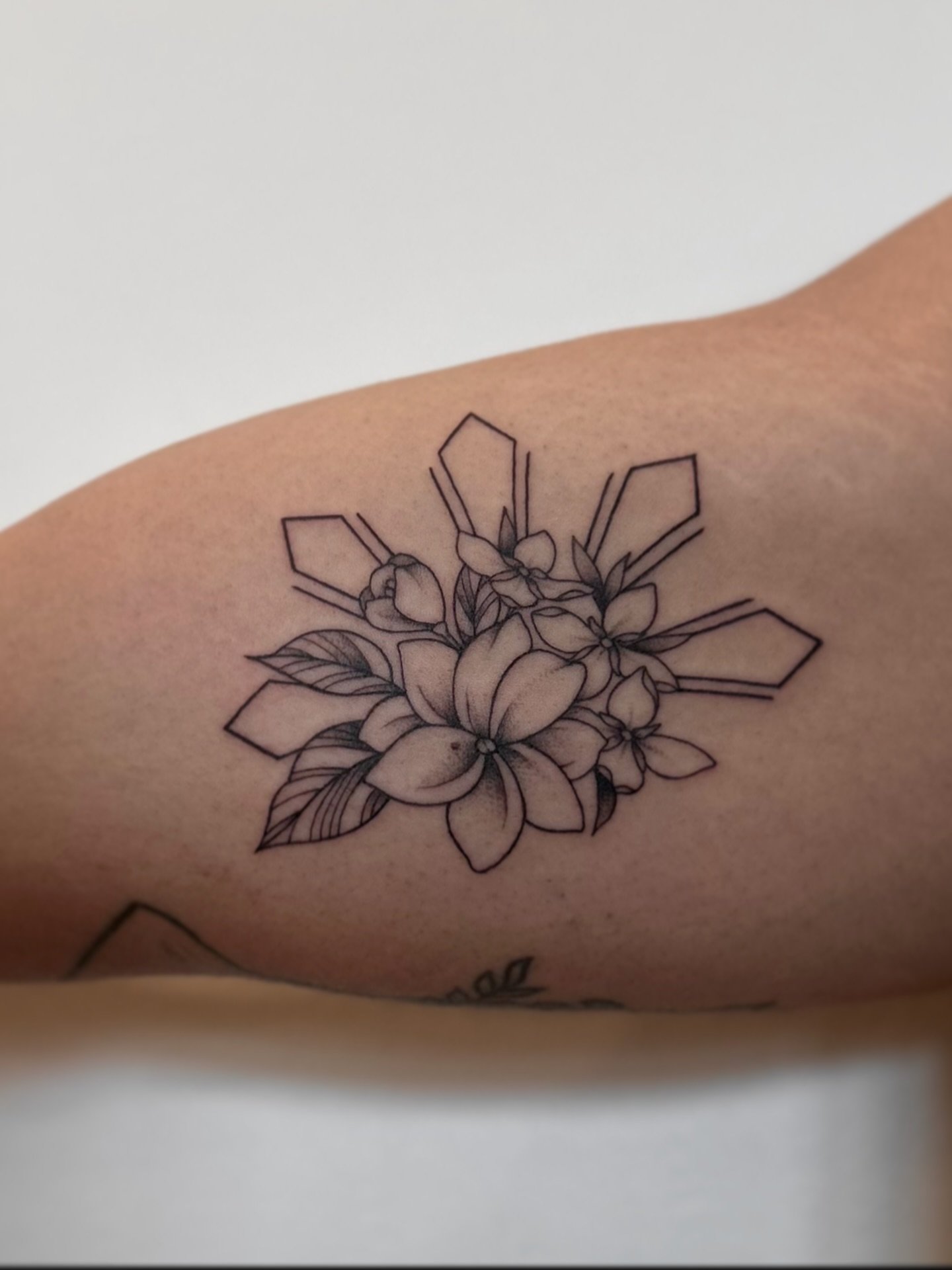 sampaguitas, santan &amp; sun rays. 

a slightly altered version, 
from one of my flash sheets! 

thanks for coming in again kerwin.