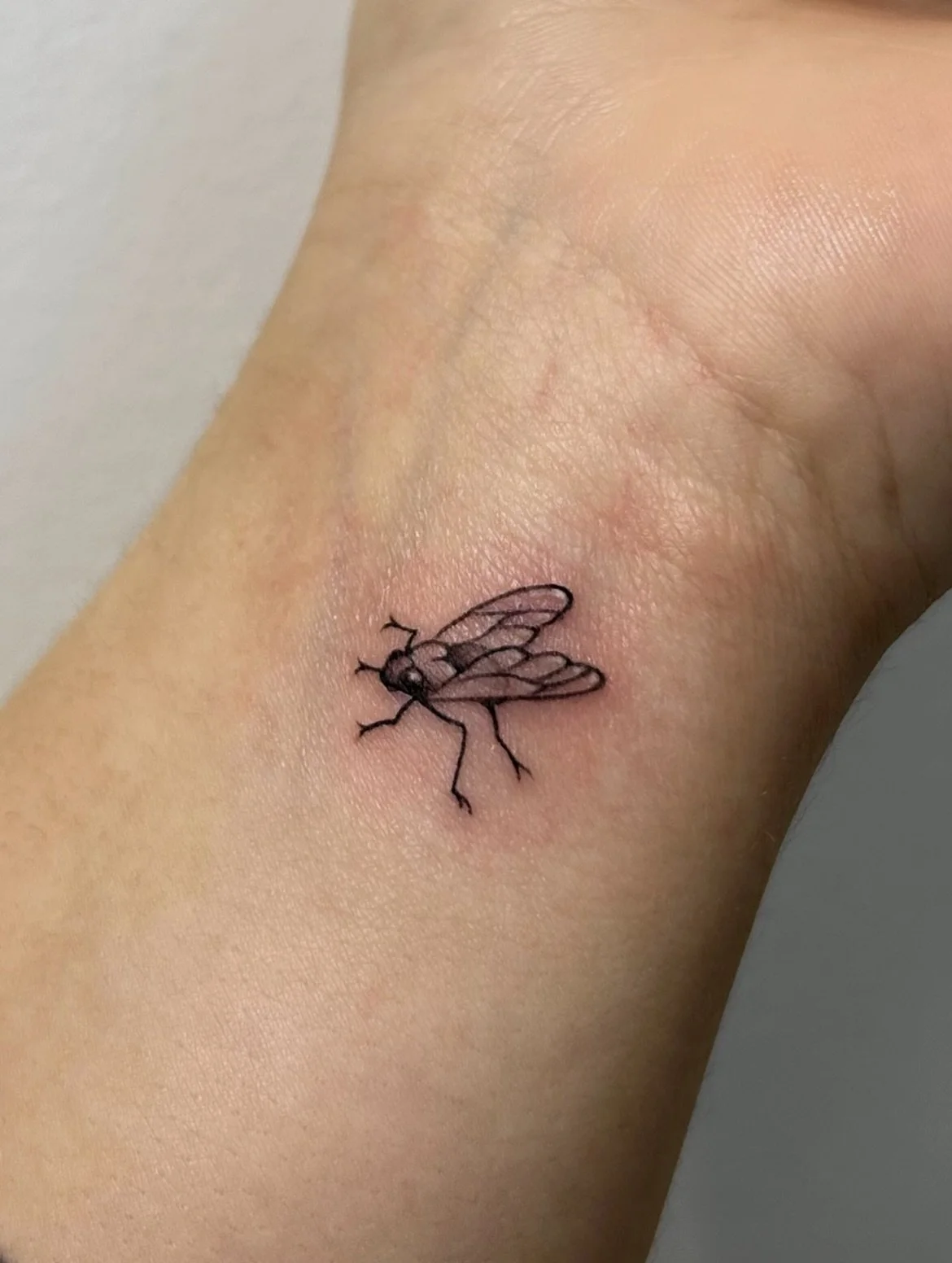 an itty bitty fly.

such a cute &amp; silly idea, which definitely had us laughing through the entirety of our short session.

thanks for stopping by nadine!