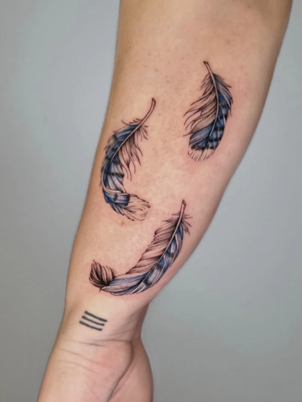 blue jay feathers. 

to represent her, her husband &amp; her daughter.

it was lovely seeing you, as always cheryl!