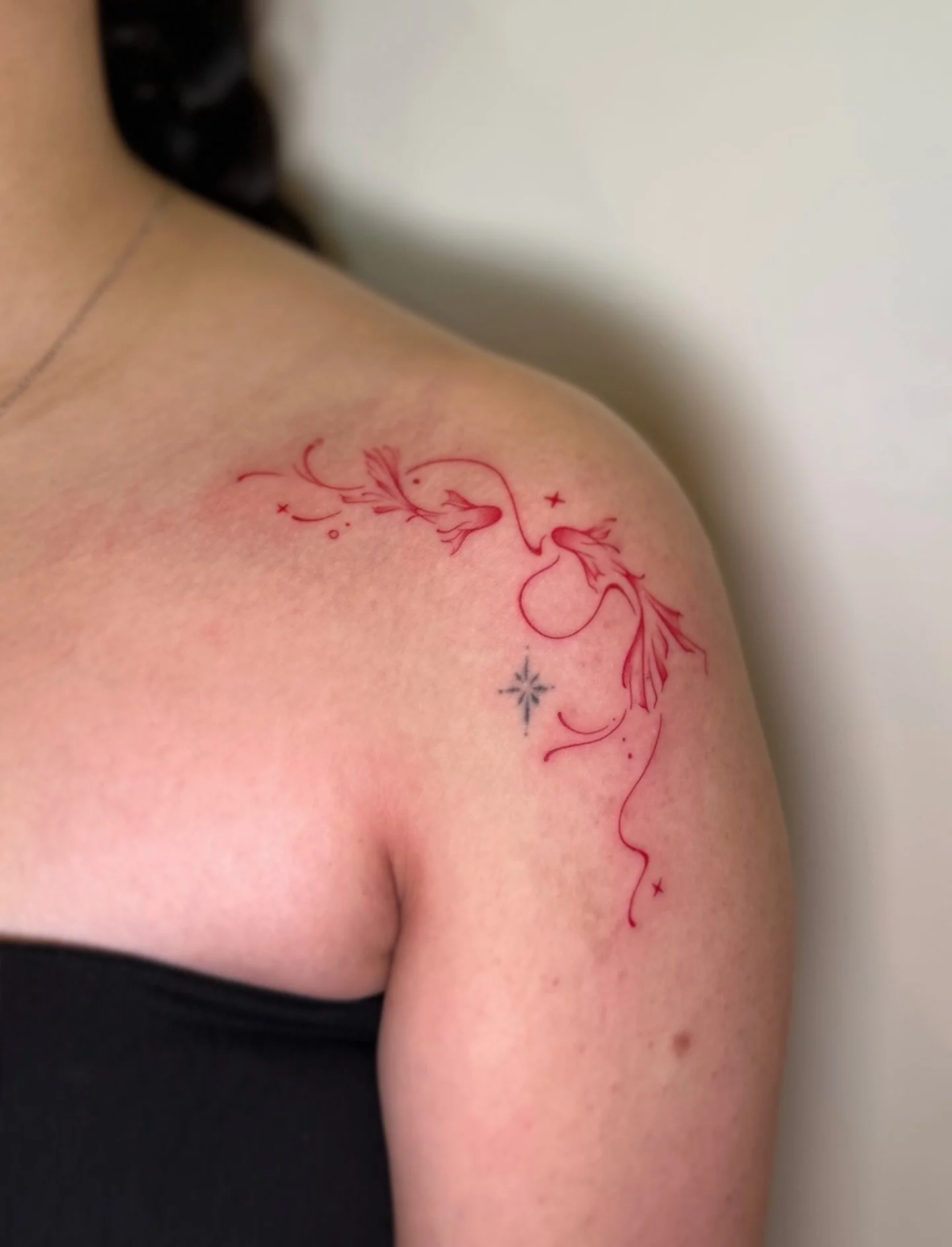 r e d  k o i  f i s h.

thanks for stopping by rinoa!