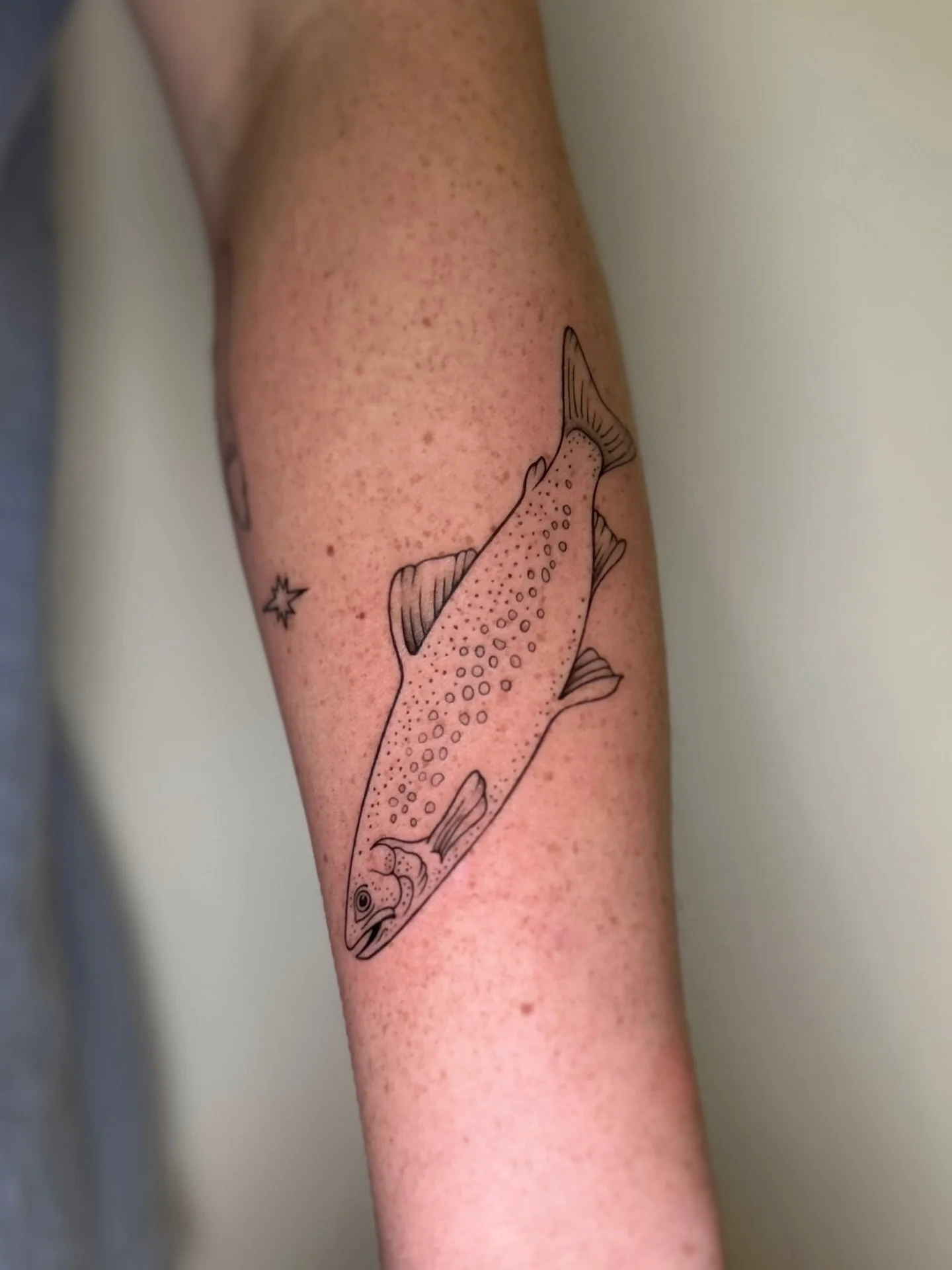 a r c t i c  c h a r. 

thanks for coming in again toby!