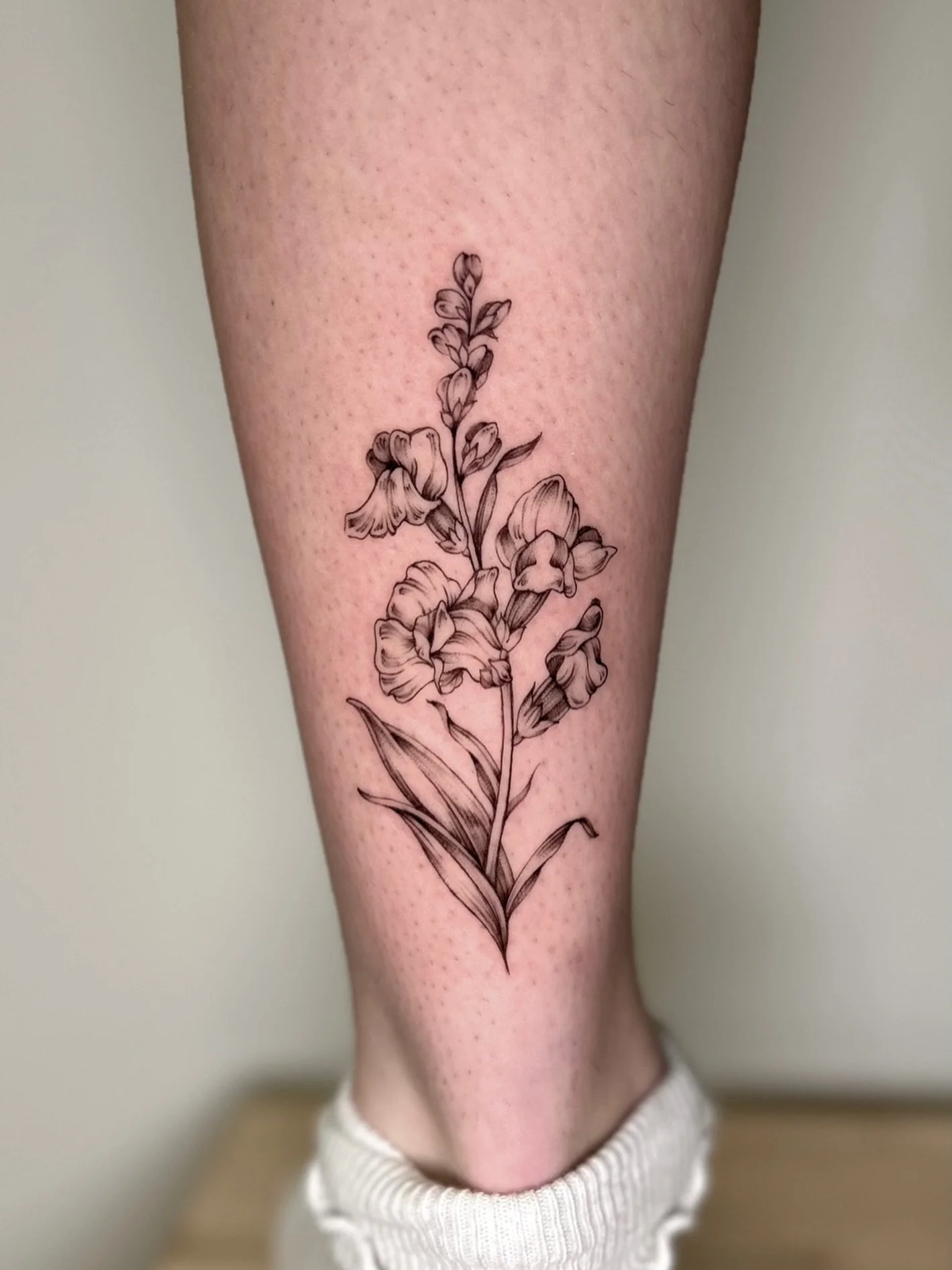 s n a p d r a g o n s.

lots &amp; lots of wip shading on this one. 

thanks for coming in for this samantha!