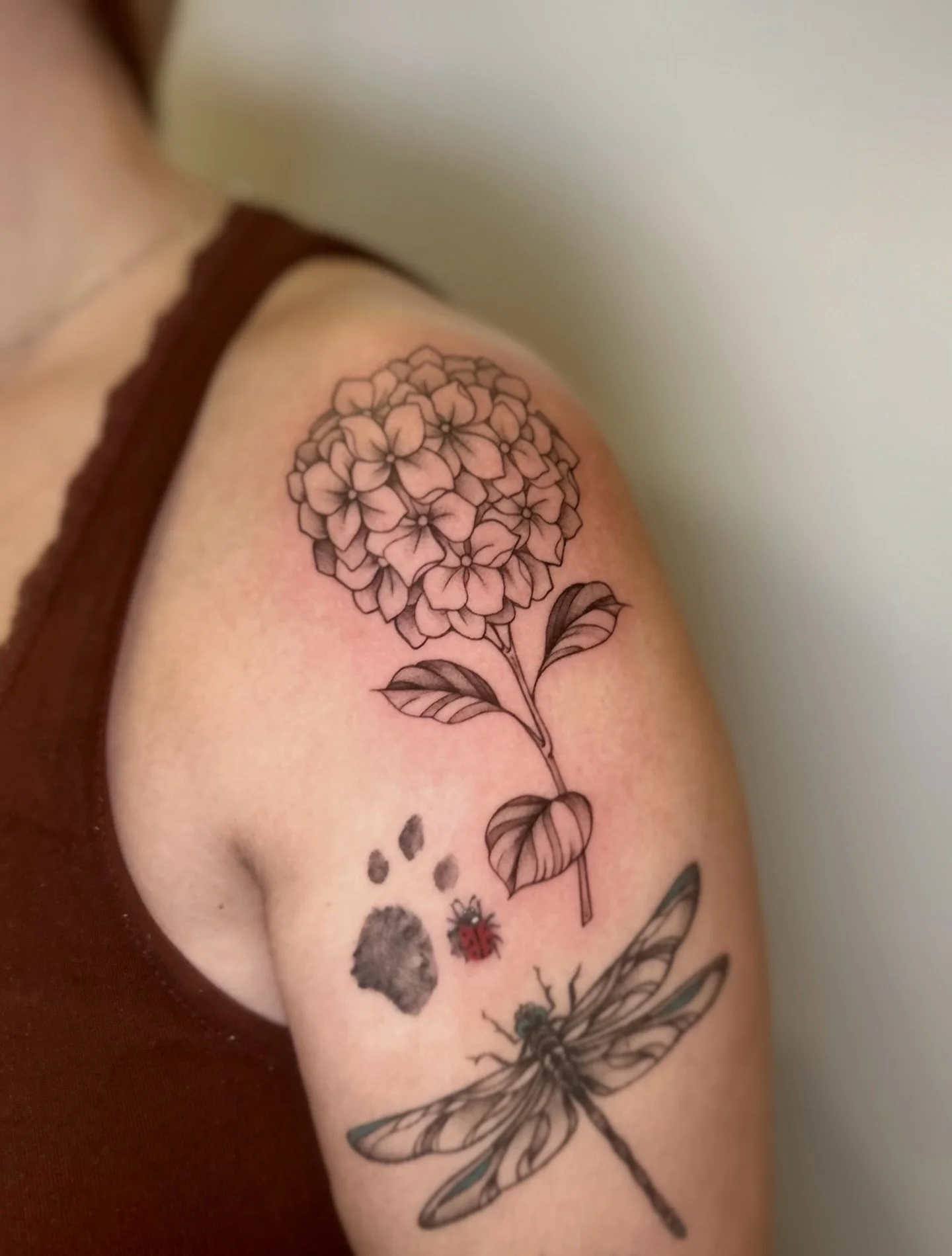 hydrangea stem.

thanks for stopping by again, fatima!