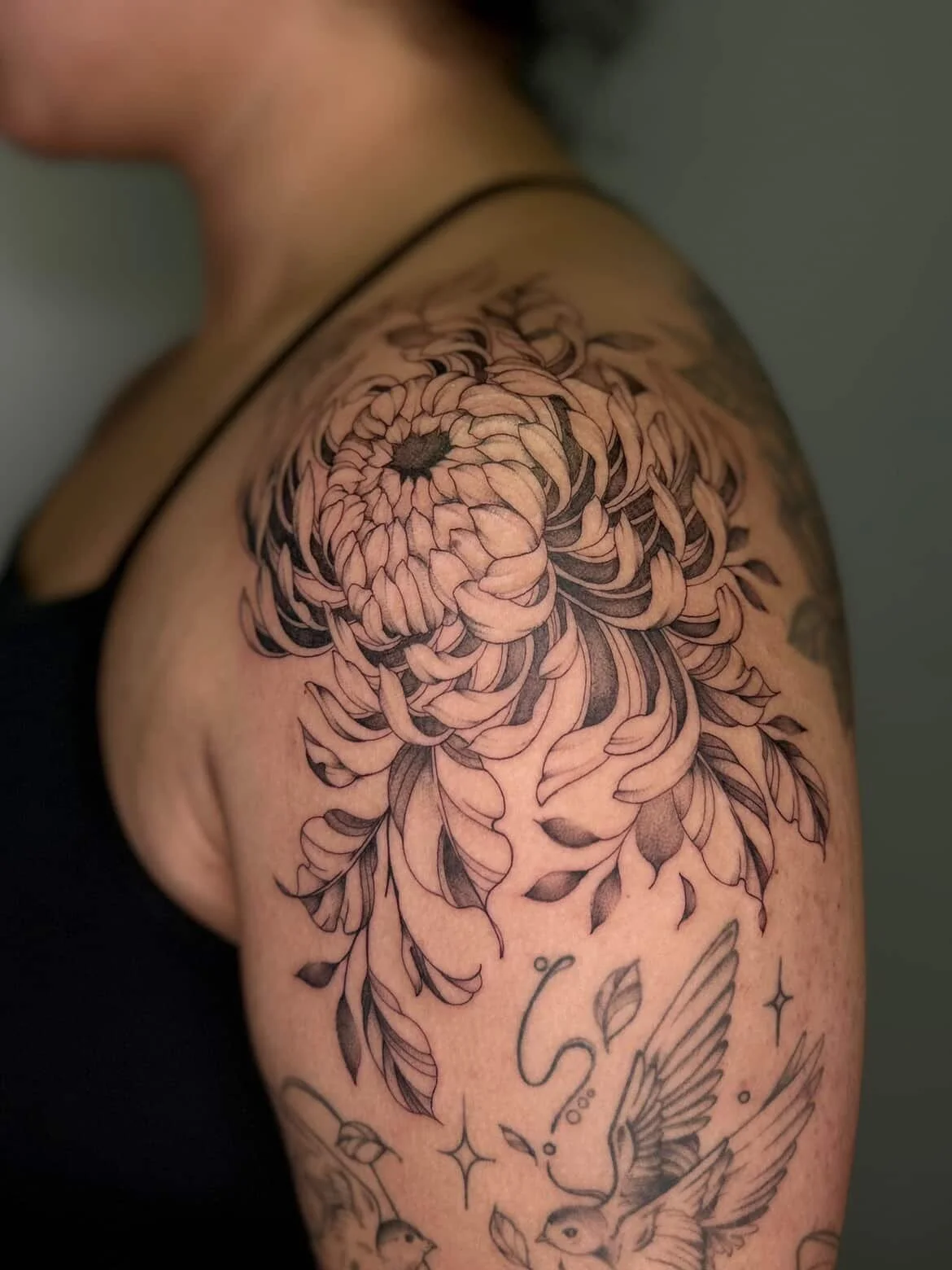 C H R Y S A N T H E M U M

+ some sparrows, over a year healed.

thanks for coming in again jasmine.