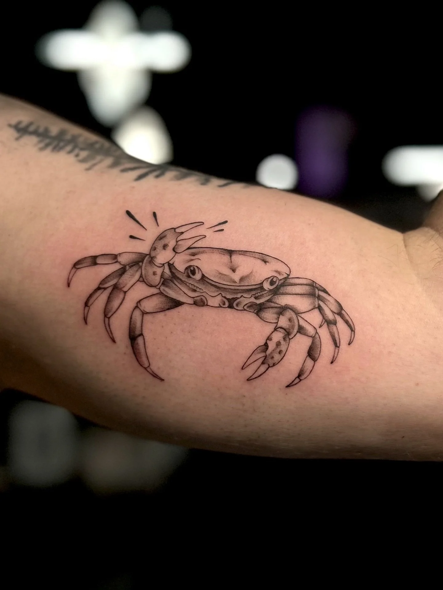 p u r p l e  s h o r e  c r a b

to remind him of family &amp; the vancouver coast.

thanks for coming to the expo for this, ian!