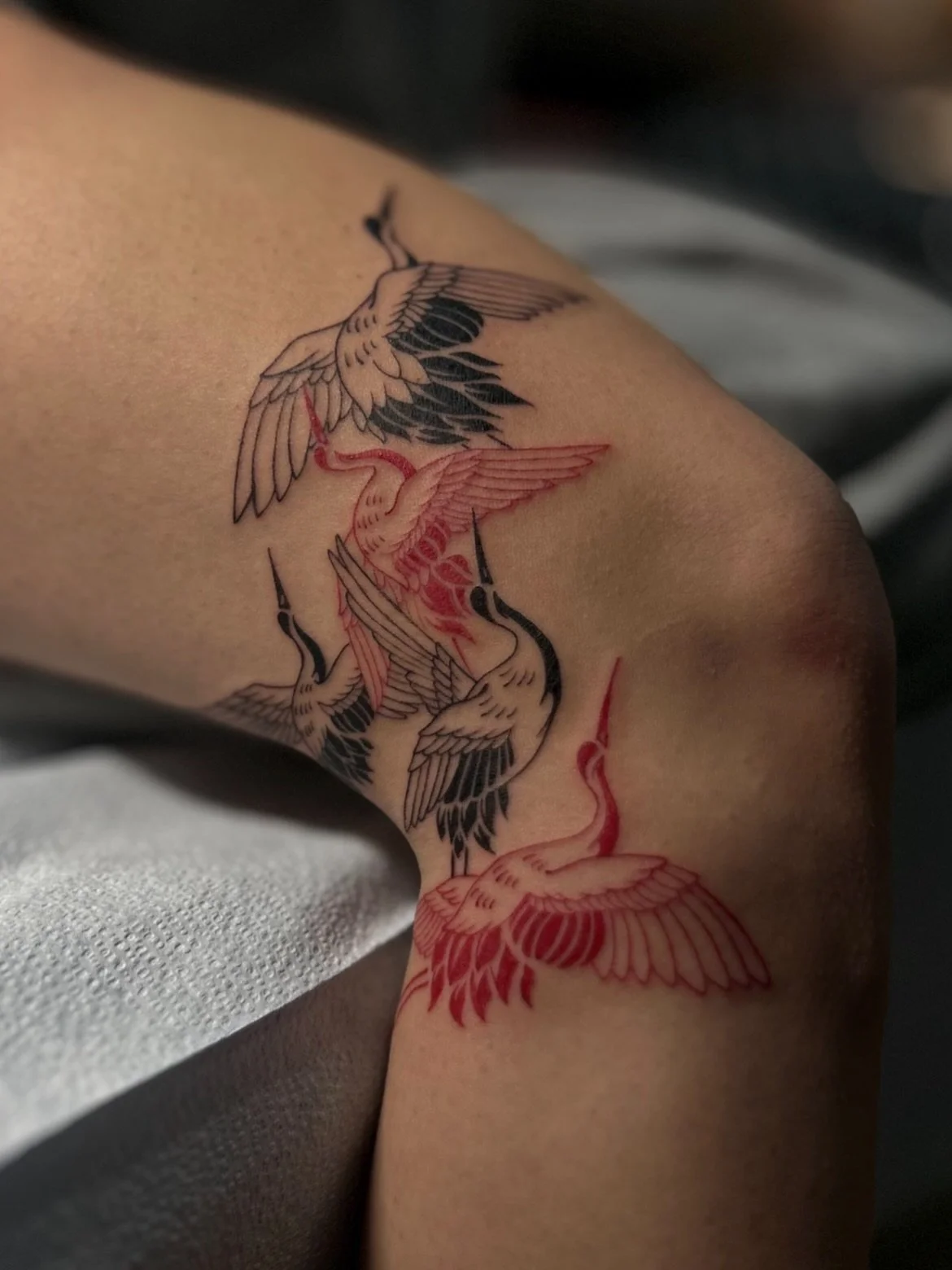 F I V E  C R A N E S

thanks for driving in from brandon for this mia!