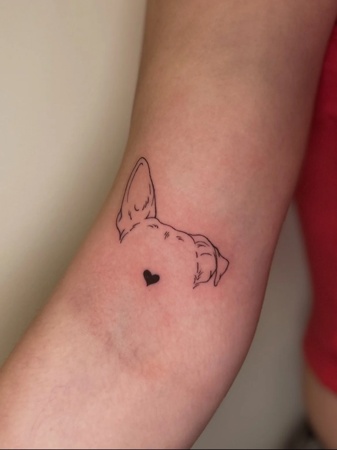 tiny tattoo tuesday.

some smaller pieces over the past few months. 

thanks to everyone for stopping by!