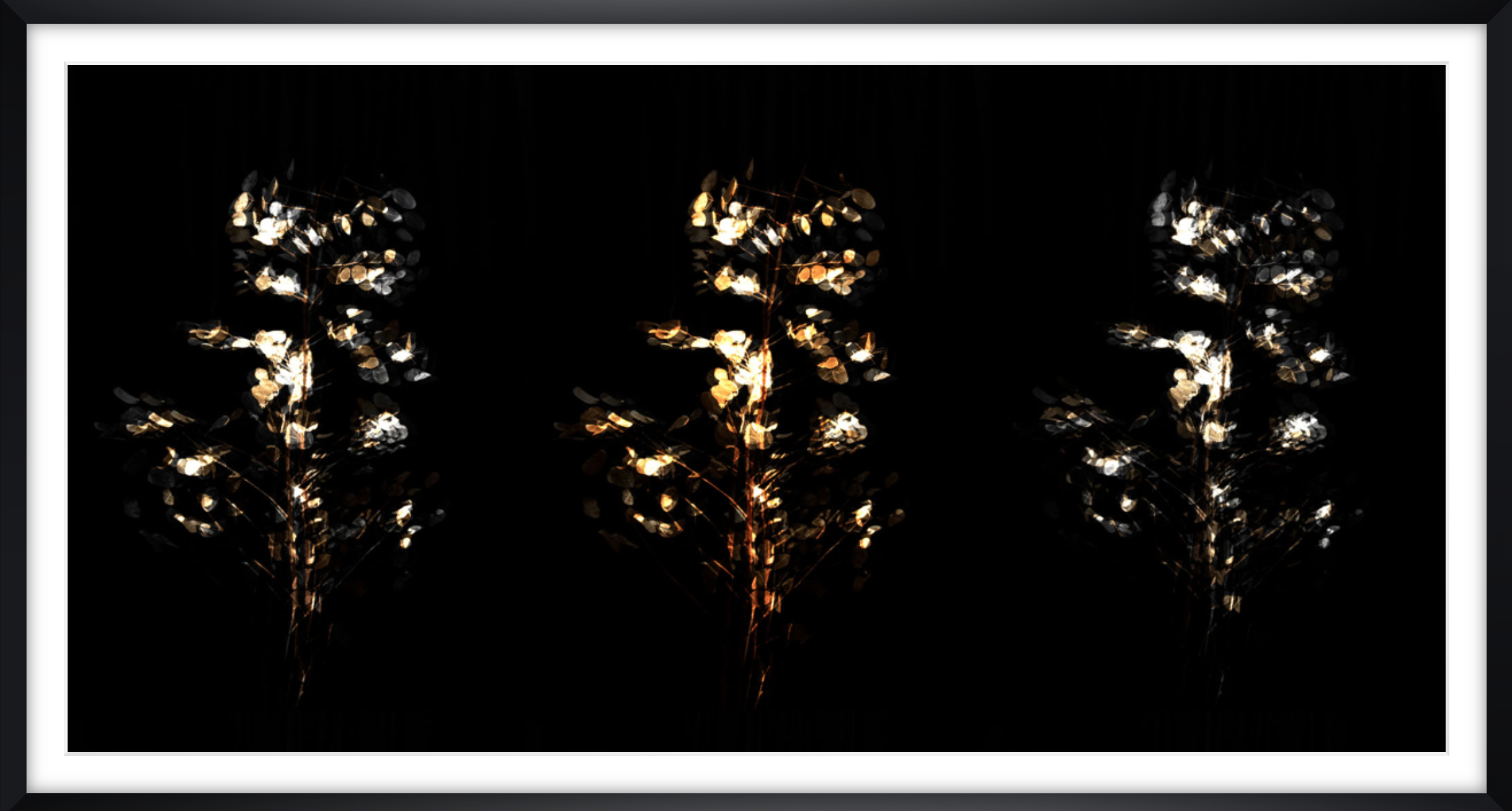 DARK_FLOWER_TRIPPLE_FRAMED.png