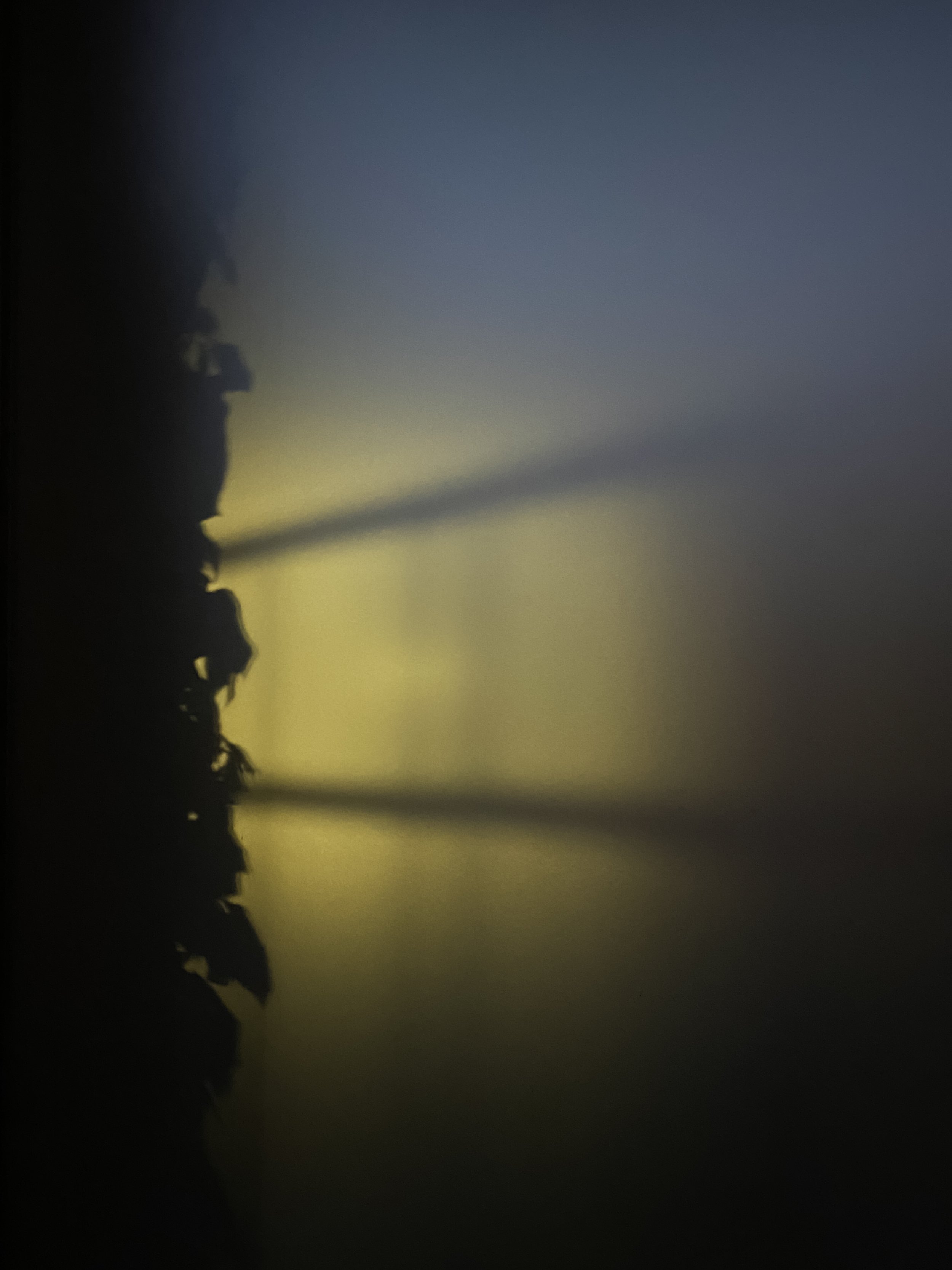 WINDOW_SANT_CUGAT copy.jpg