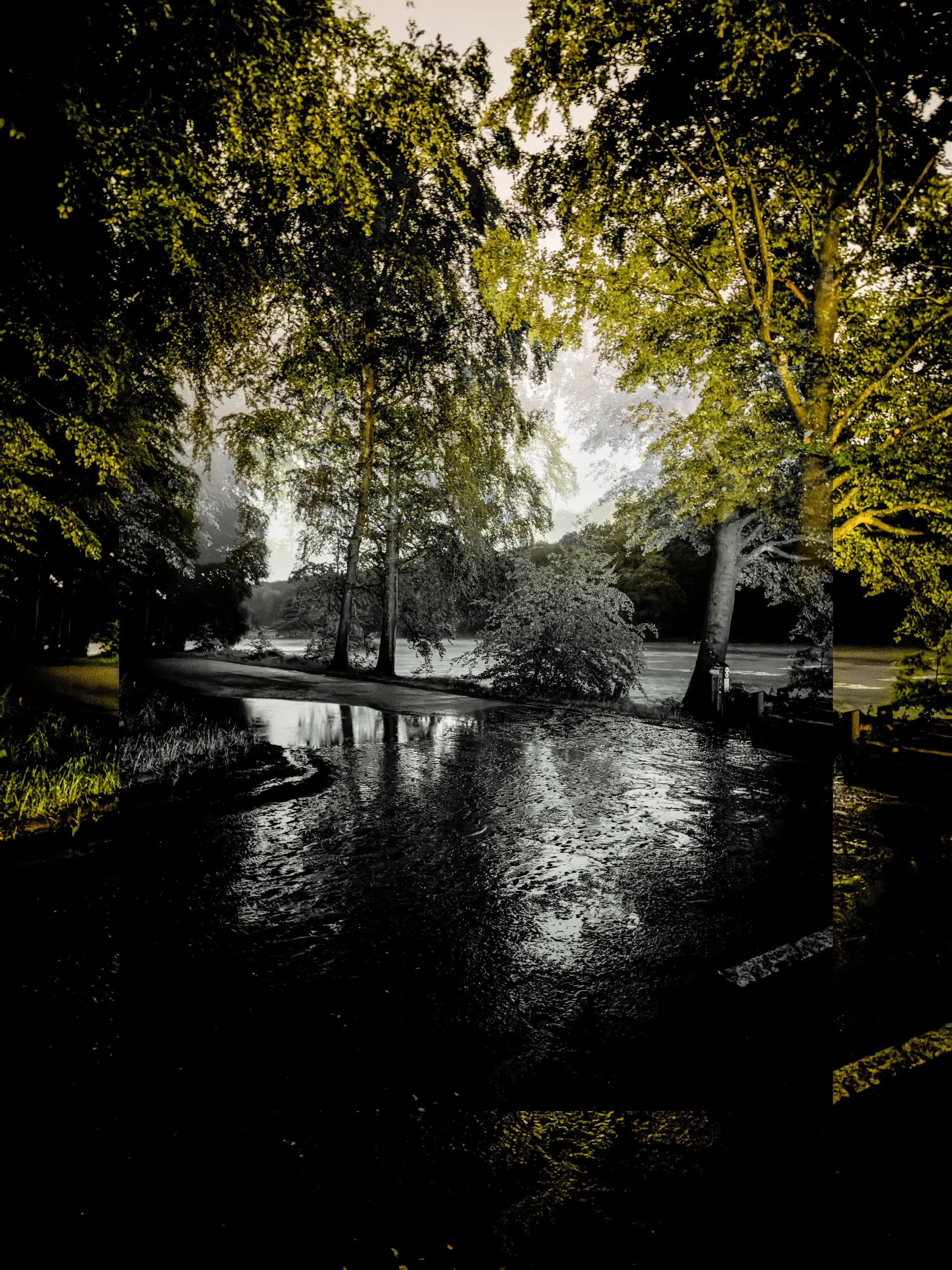 TERVUREN_PARC_01 copy 2.jpg