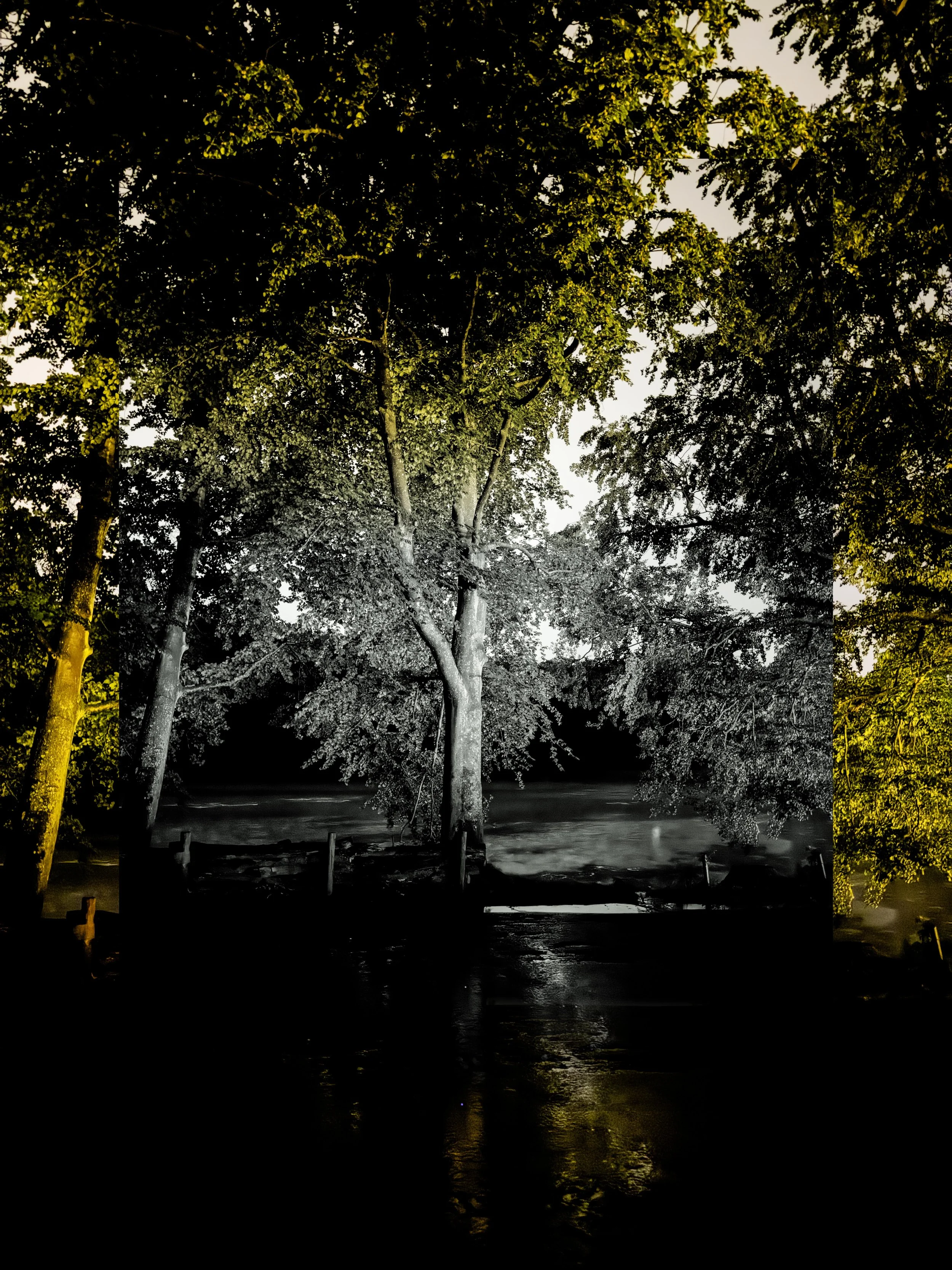TERVUREN_PARC_02 copy.jpg
