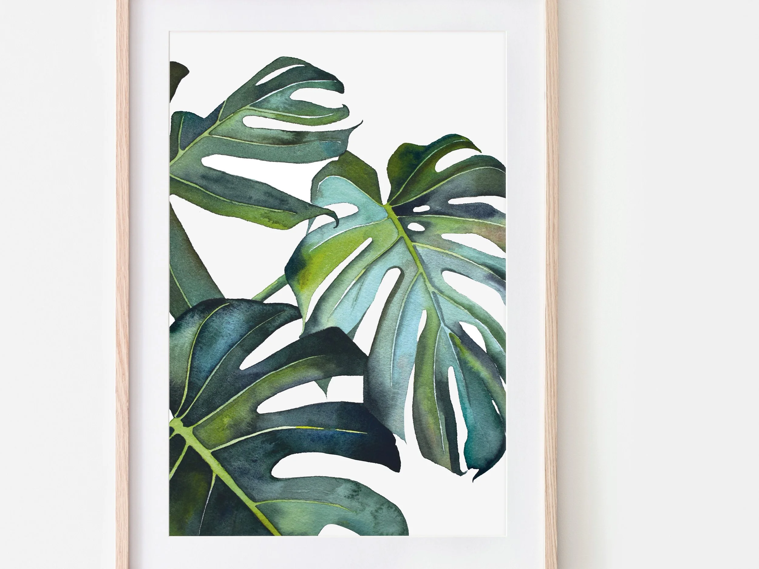Monstera_2.jpg