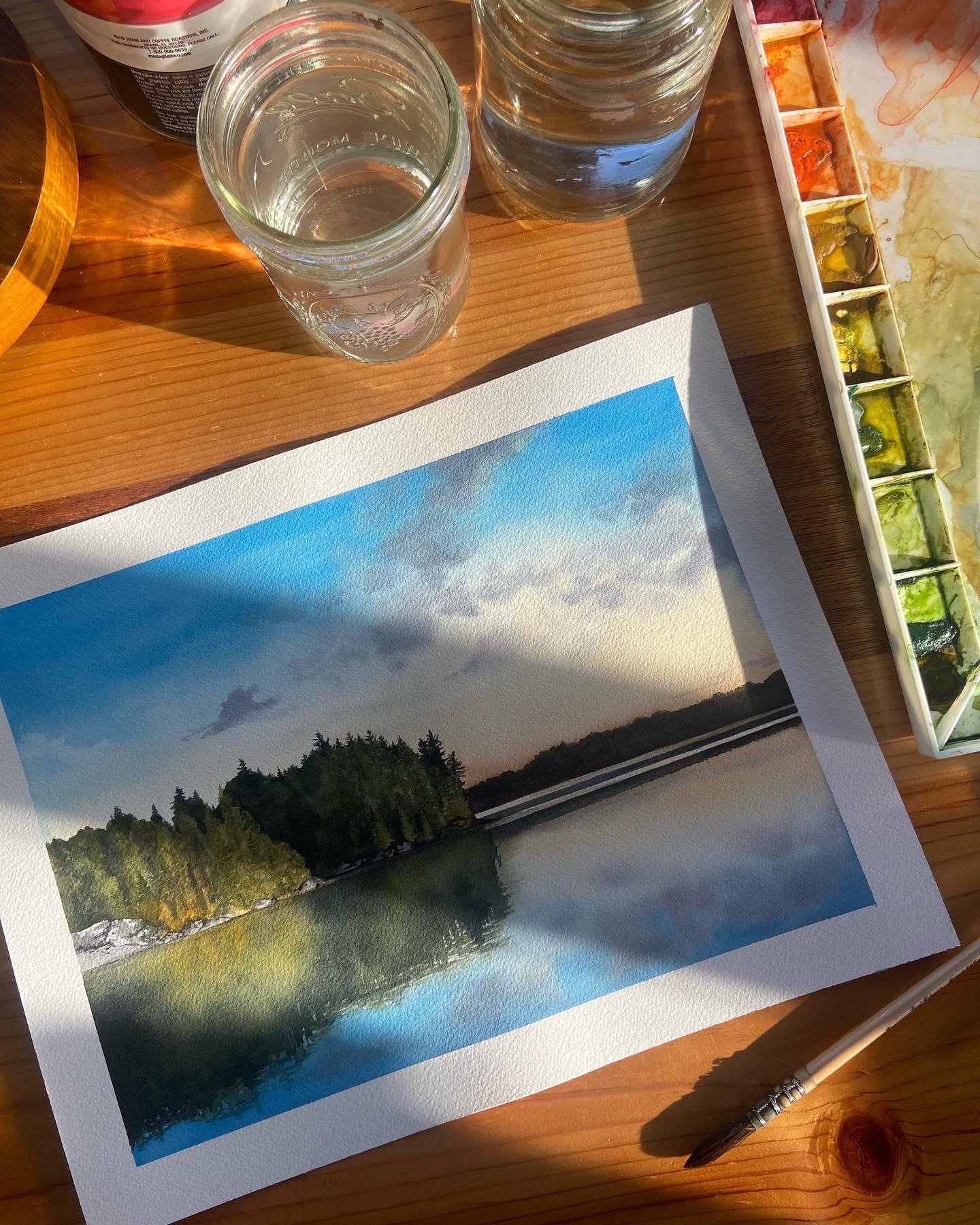 This one's extra special 🌲 

Back in the summer of 2019, my whole family and I celebrated my dad's 60th birthday aboard a houseboat where we spent five days cruising along the tranquil lakes of Voyageur's National Park. With a hot tub and water slid