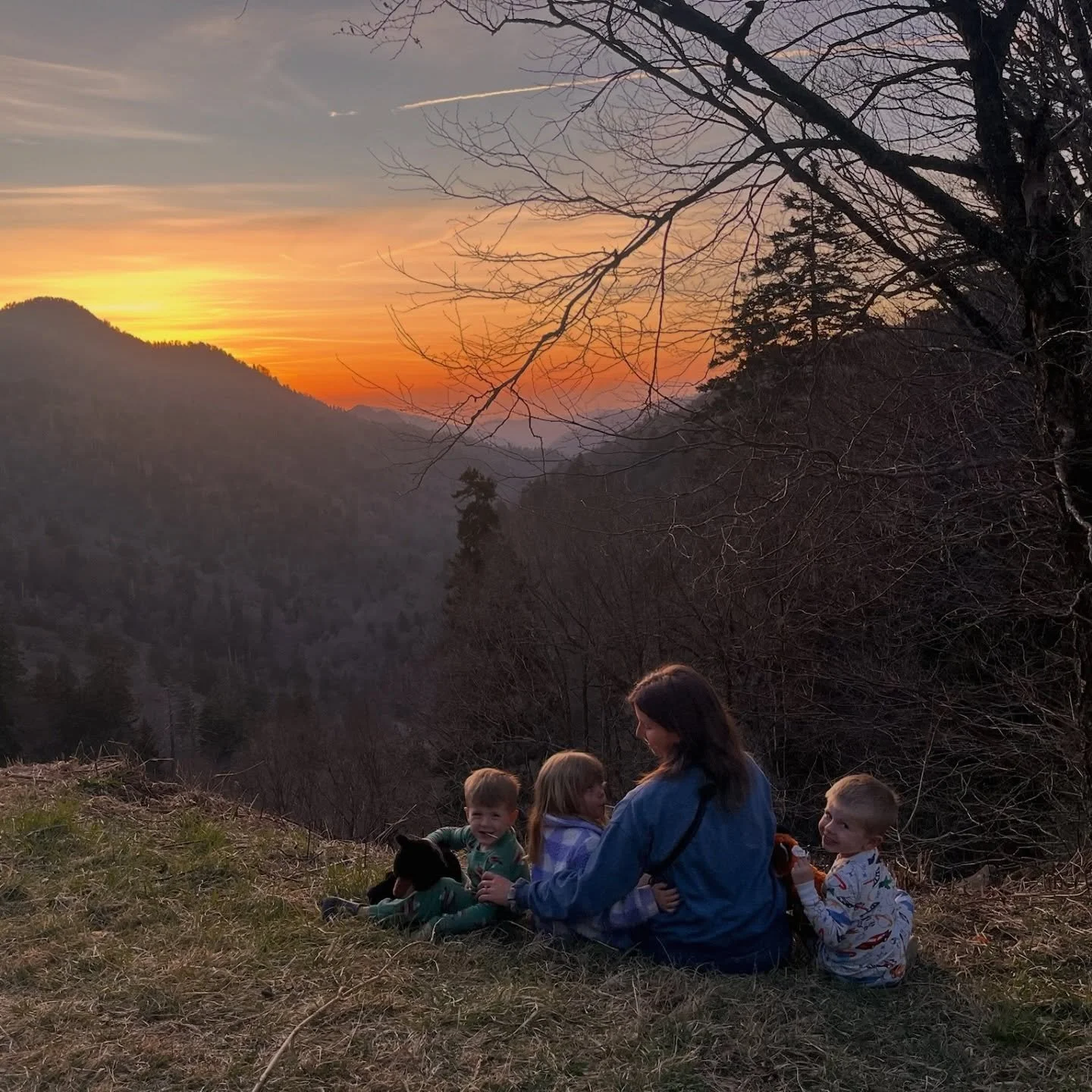 Some snippets for our time in The Great Smoky Mountains! Aside from the thickest crowds I've ever seen, we had a wonderful time exploring the park, walking around Gatlinburg, and relaxing at our cabin in the woods 🌲 

But also, pro tip: don't visit 