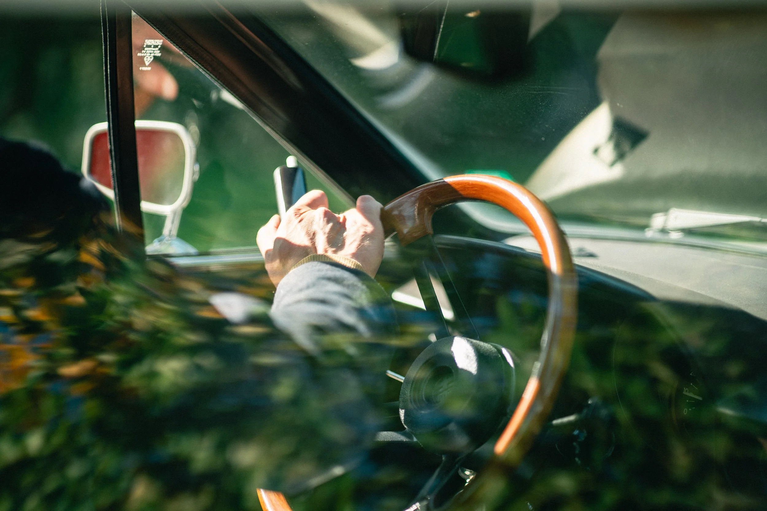 _A733950.jpg