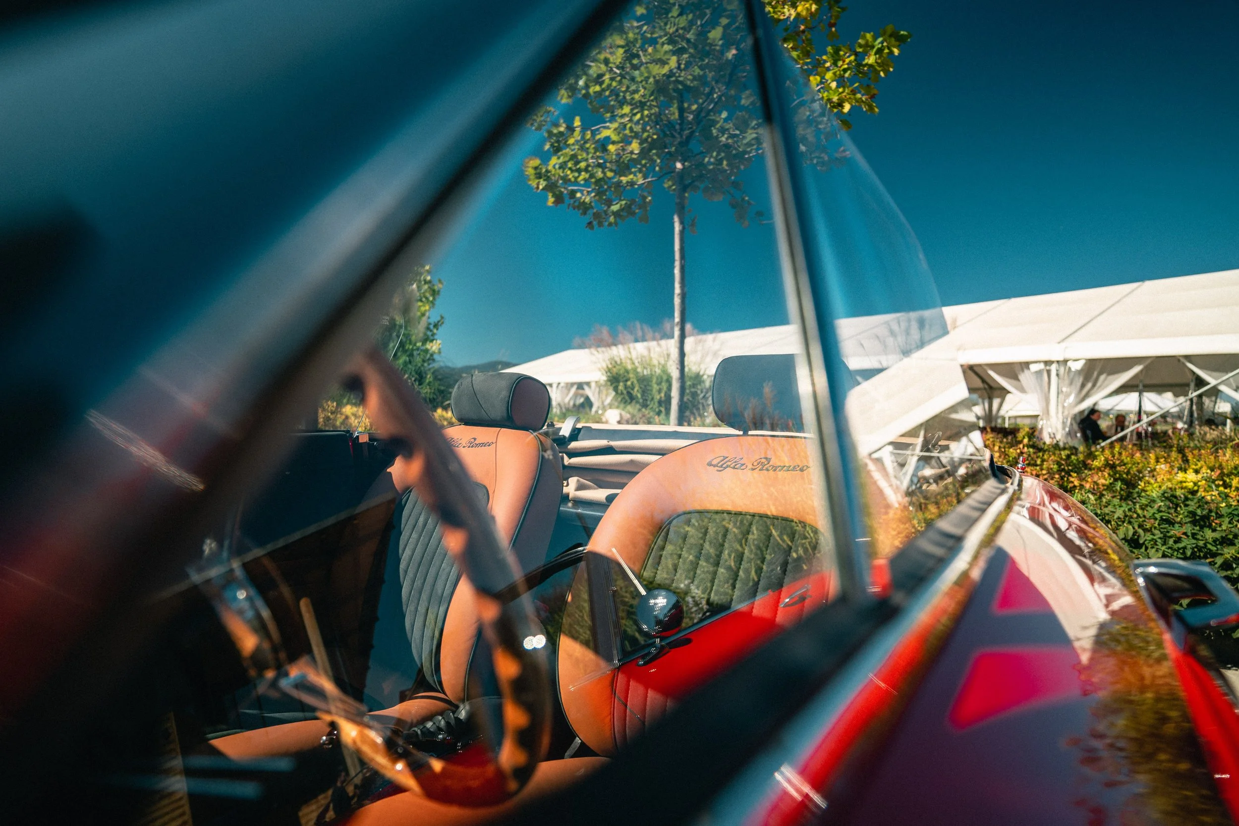 _A734070.jpg