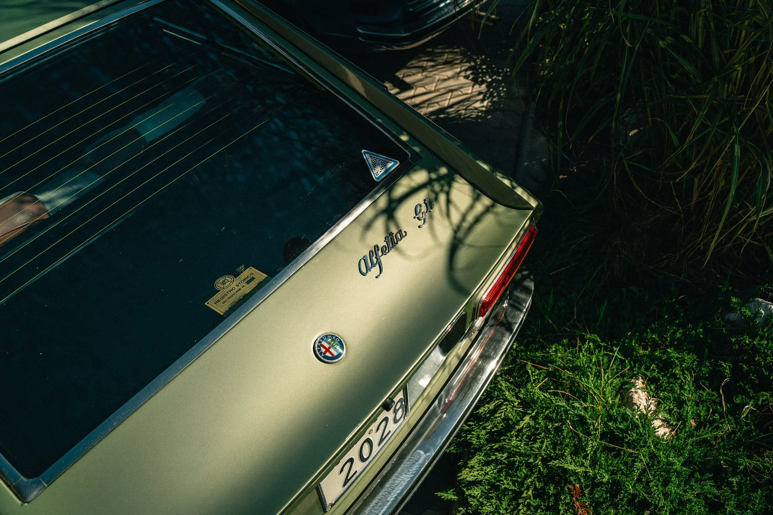 _A734919.jpg