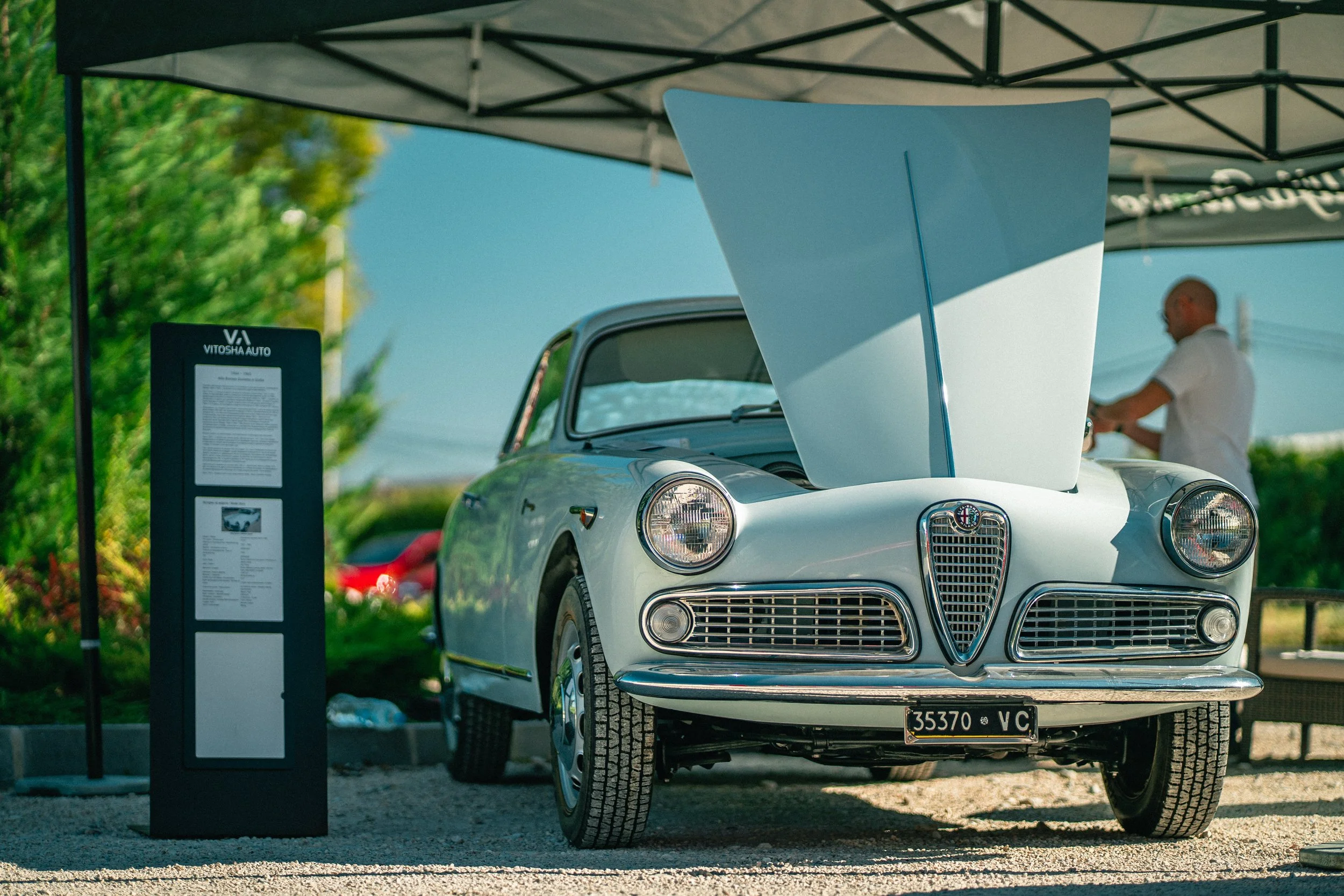 Vintage Alfa Romeo