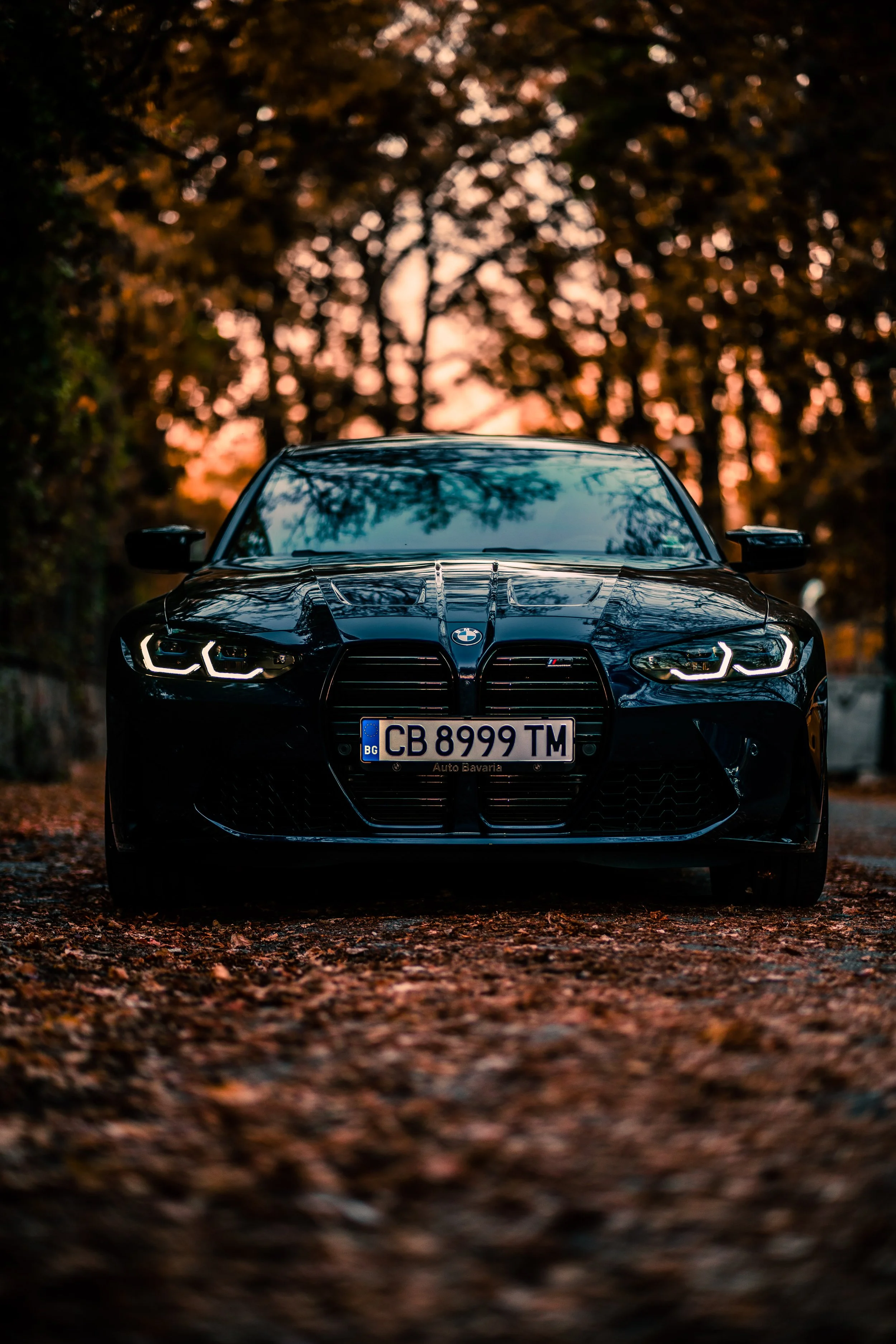 _A737678.jpg