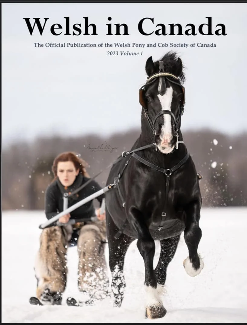 Welsh Pony and Cob Society of Canada cover