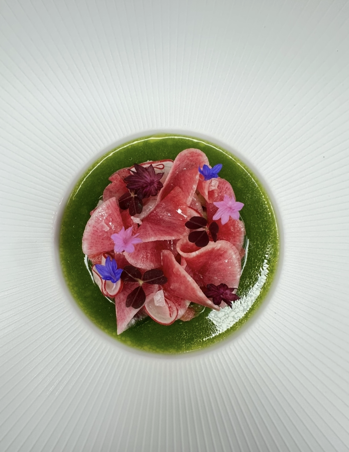 Screenshot 2026-02-18 at 9.53.18 AM.png