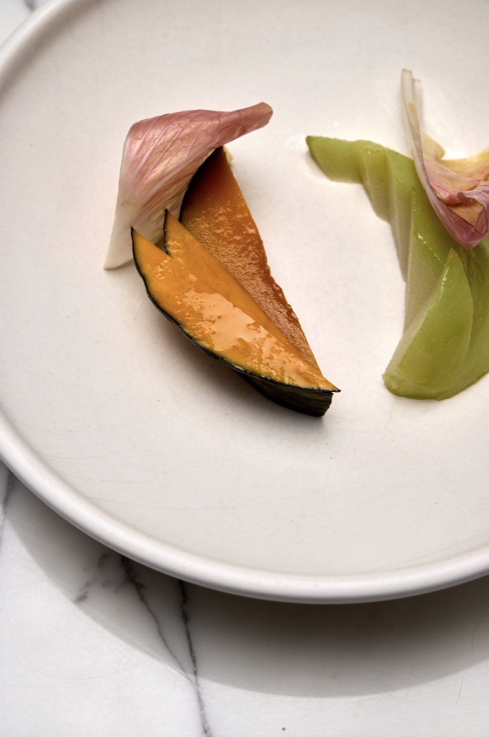 Screenshot 2026-02-24 at 10.44.29 AM.png