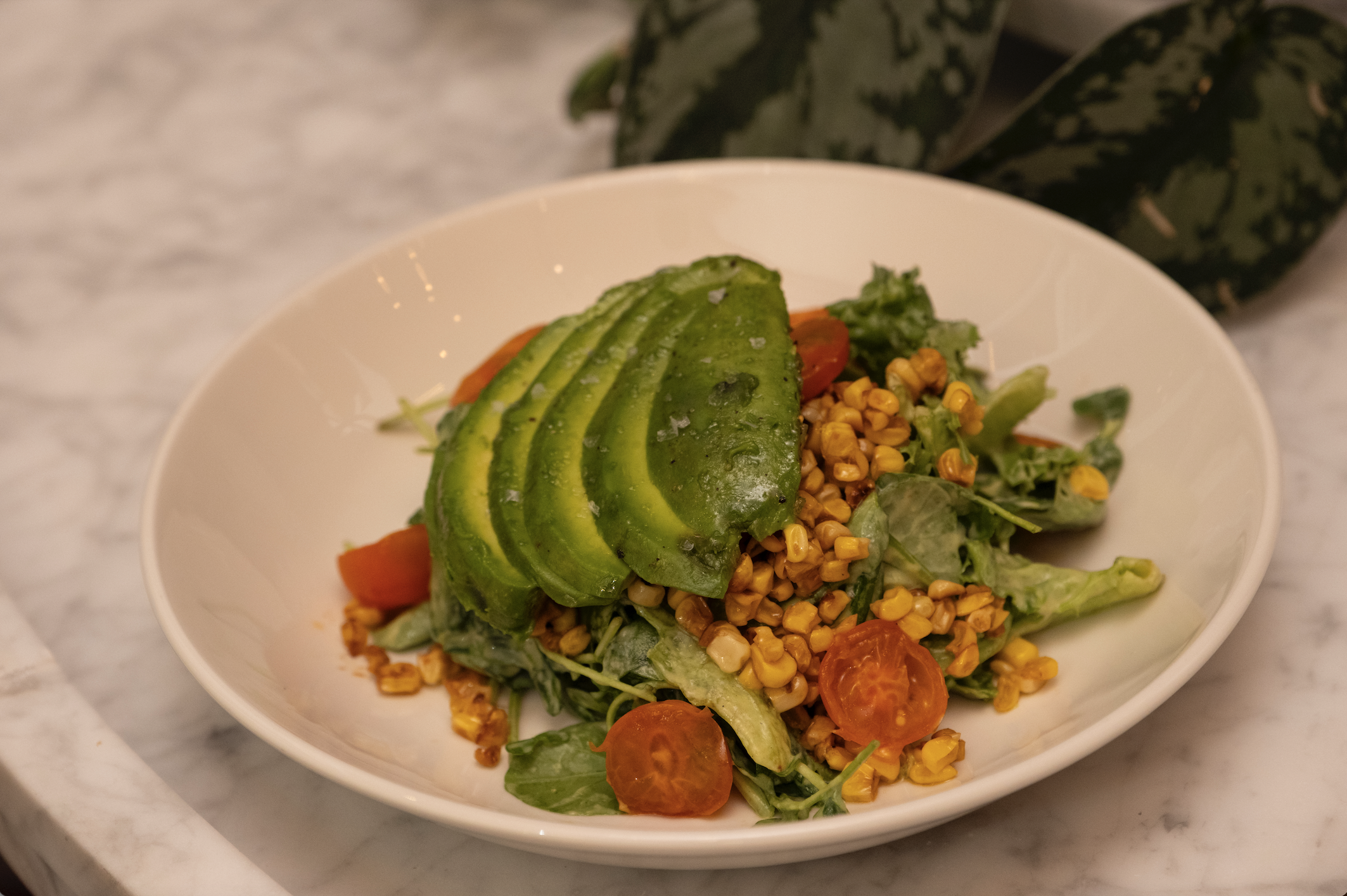 Screenshot 2025-07-29 at 2.56.39 PM.png