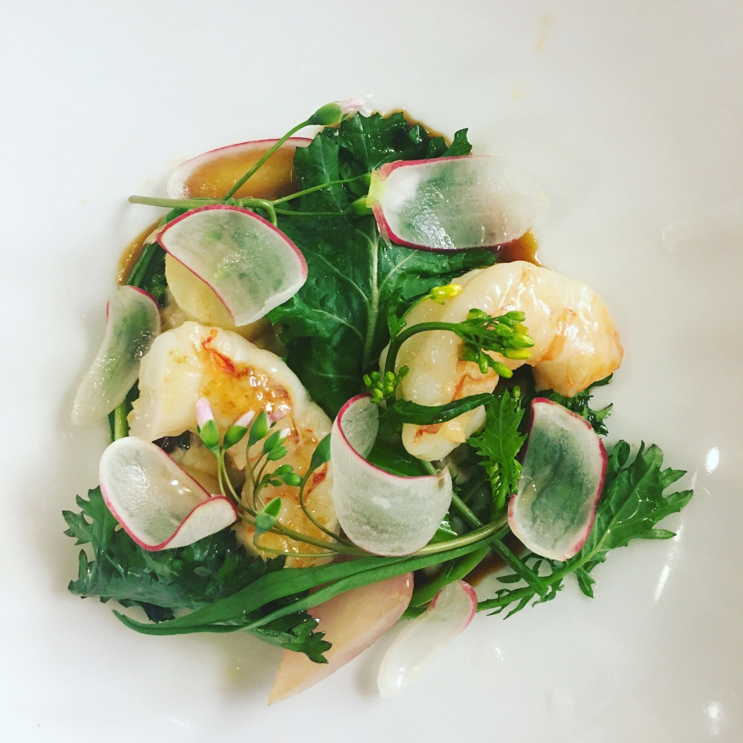 Shrimp,+Fregola,+Radishes,+-+Charley+Donnelly.jpg