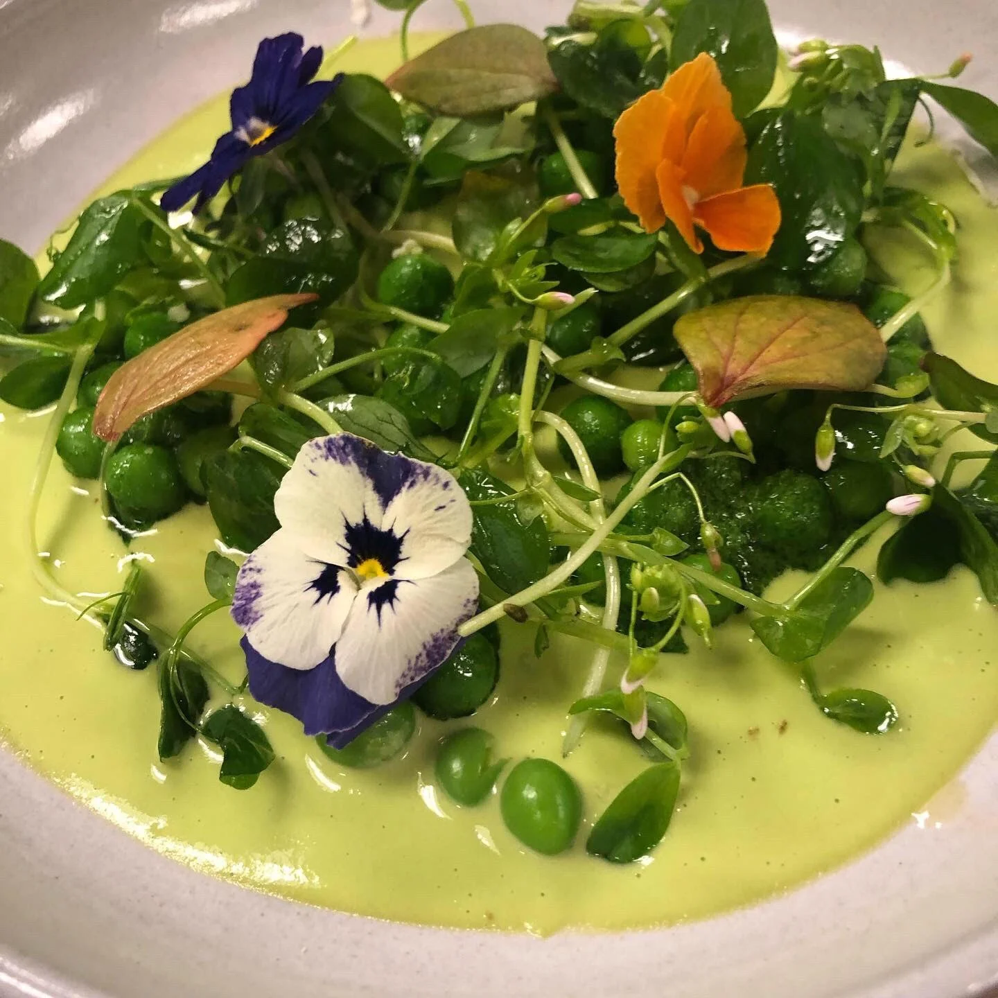 Peas all the way down - Charley Donnelly.jpg