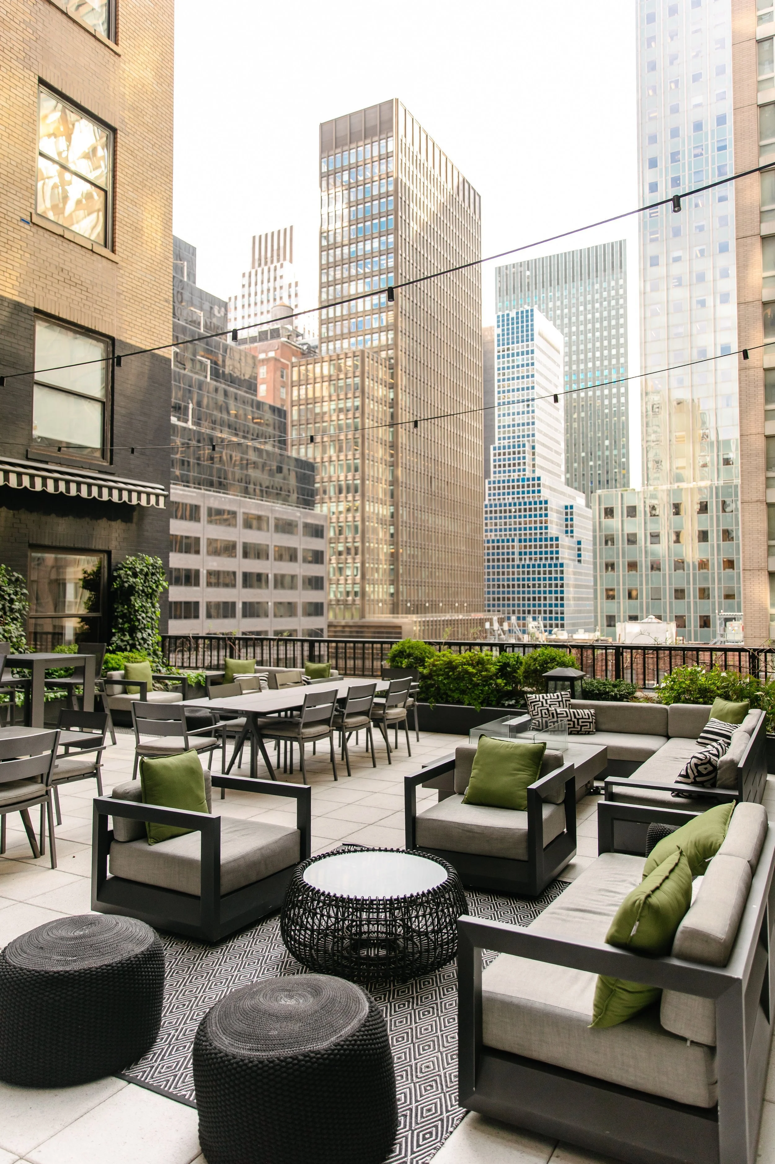 IVY TERRACE