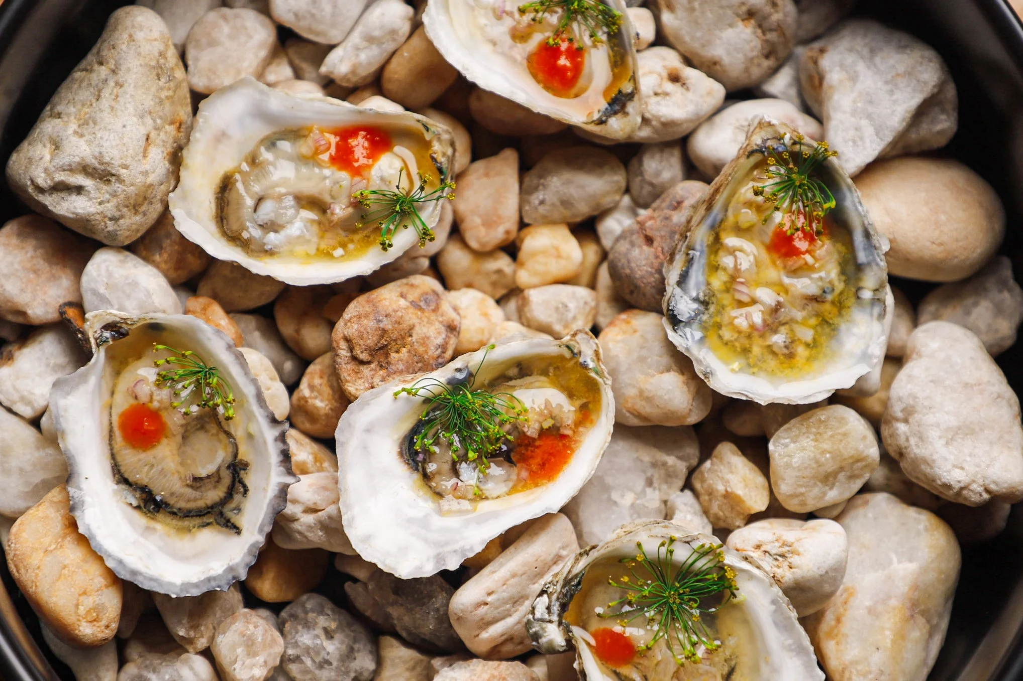 HONEYSUCKLE_HALF DOZEN OYSTERS_HAAMZA EDWARDS.JPG