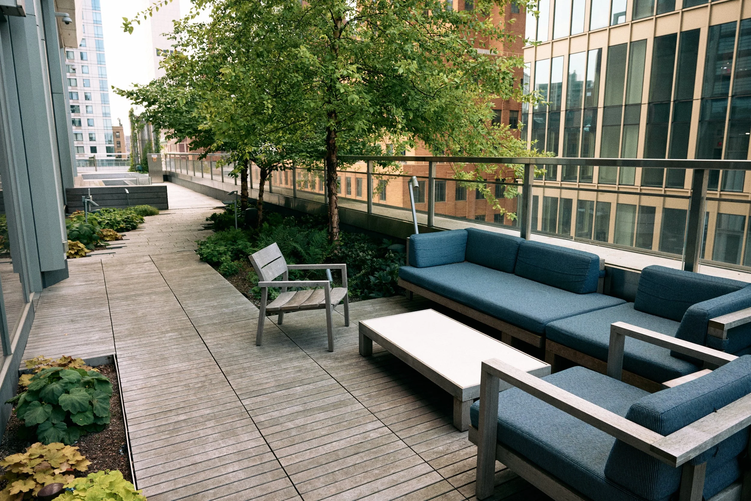 BKP Terrace.jpg