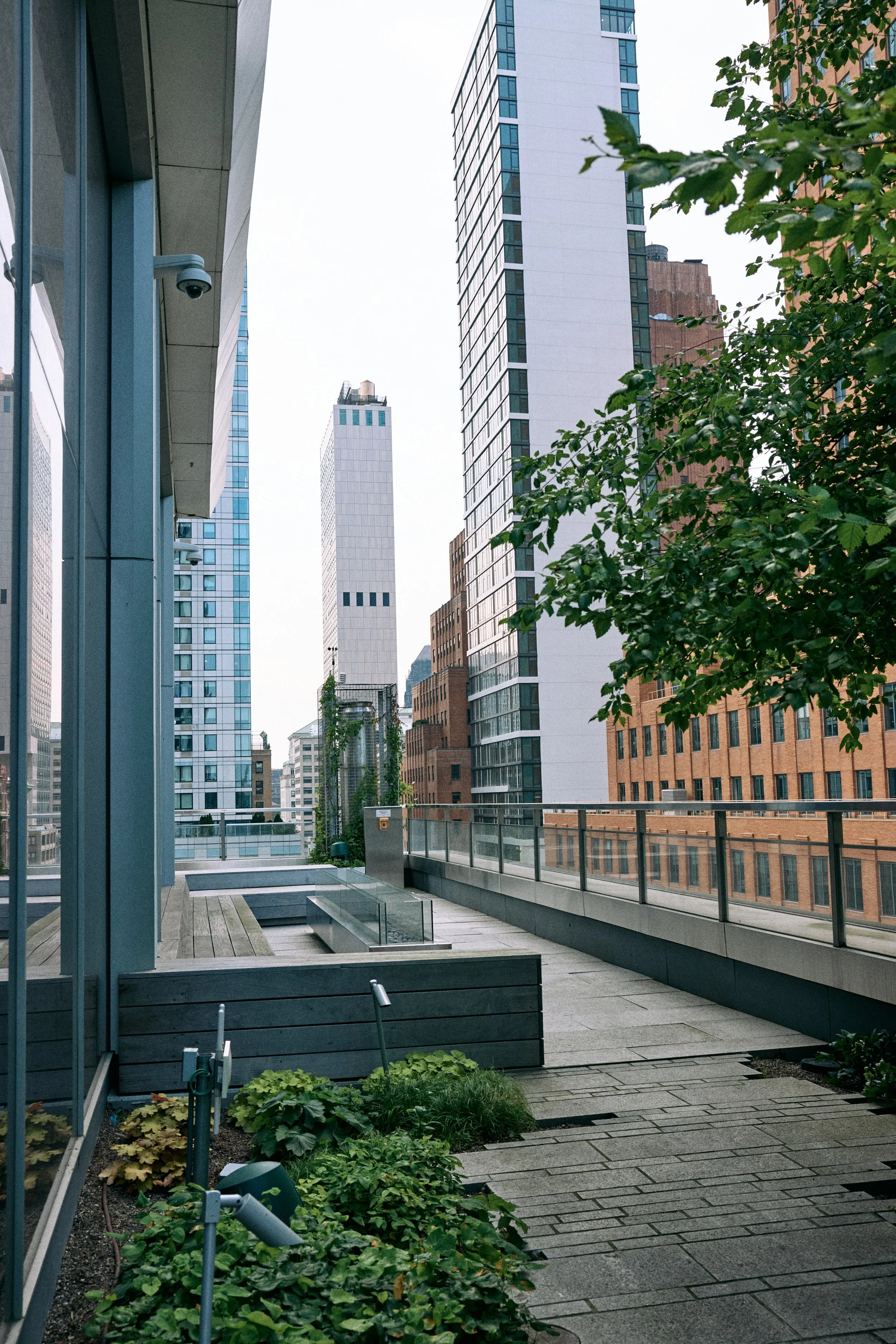 BKP Terrace 2.jpg