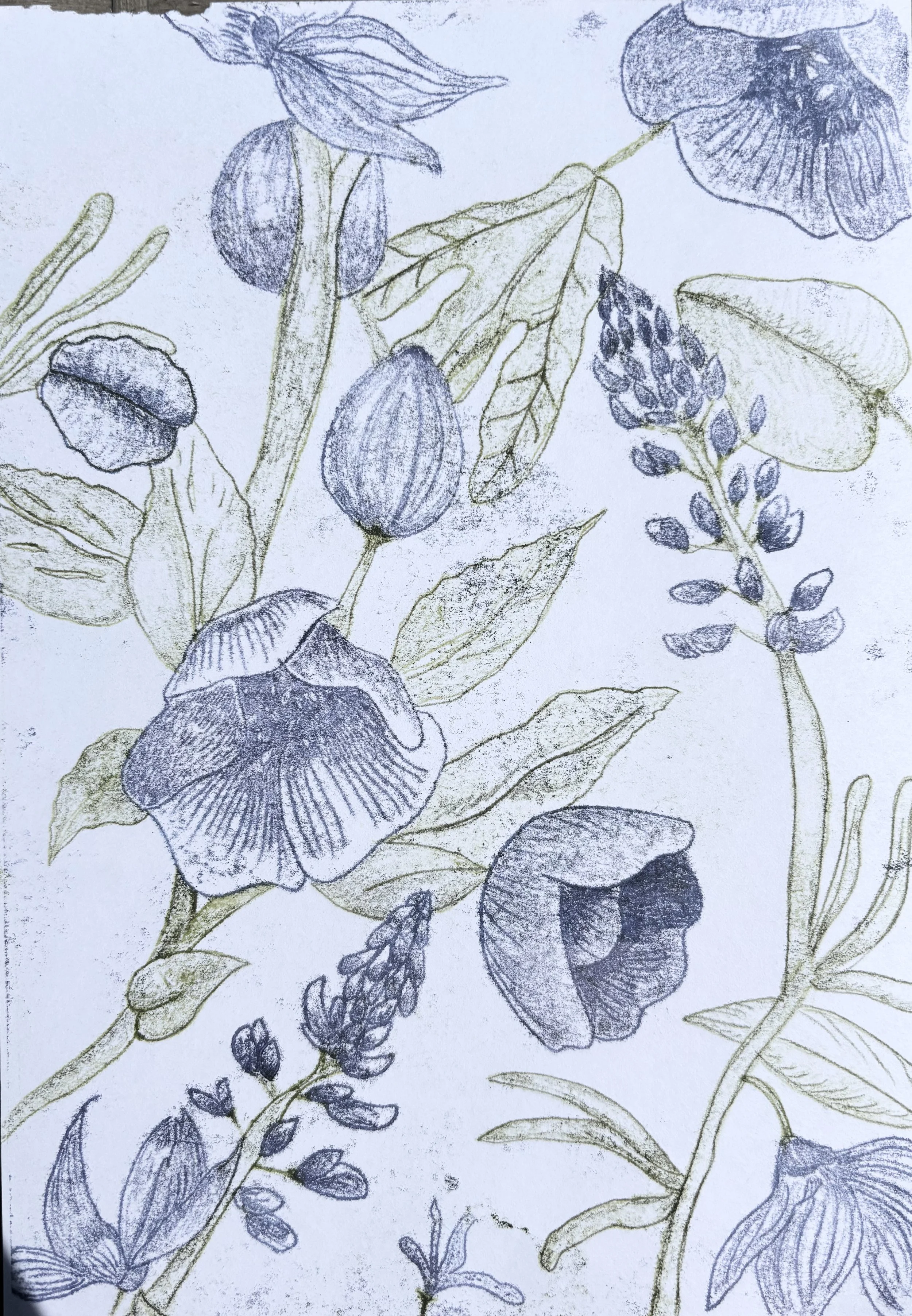 Trace Monoprinting Workshop - Albero Lounge